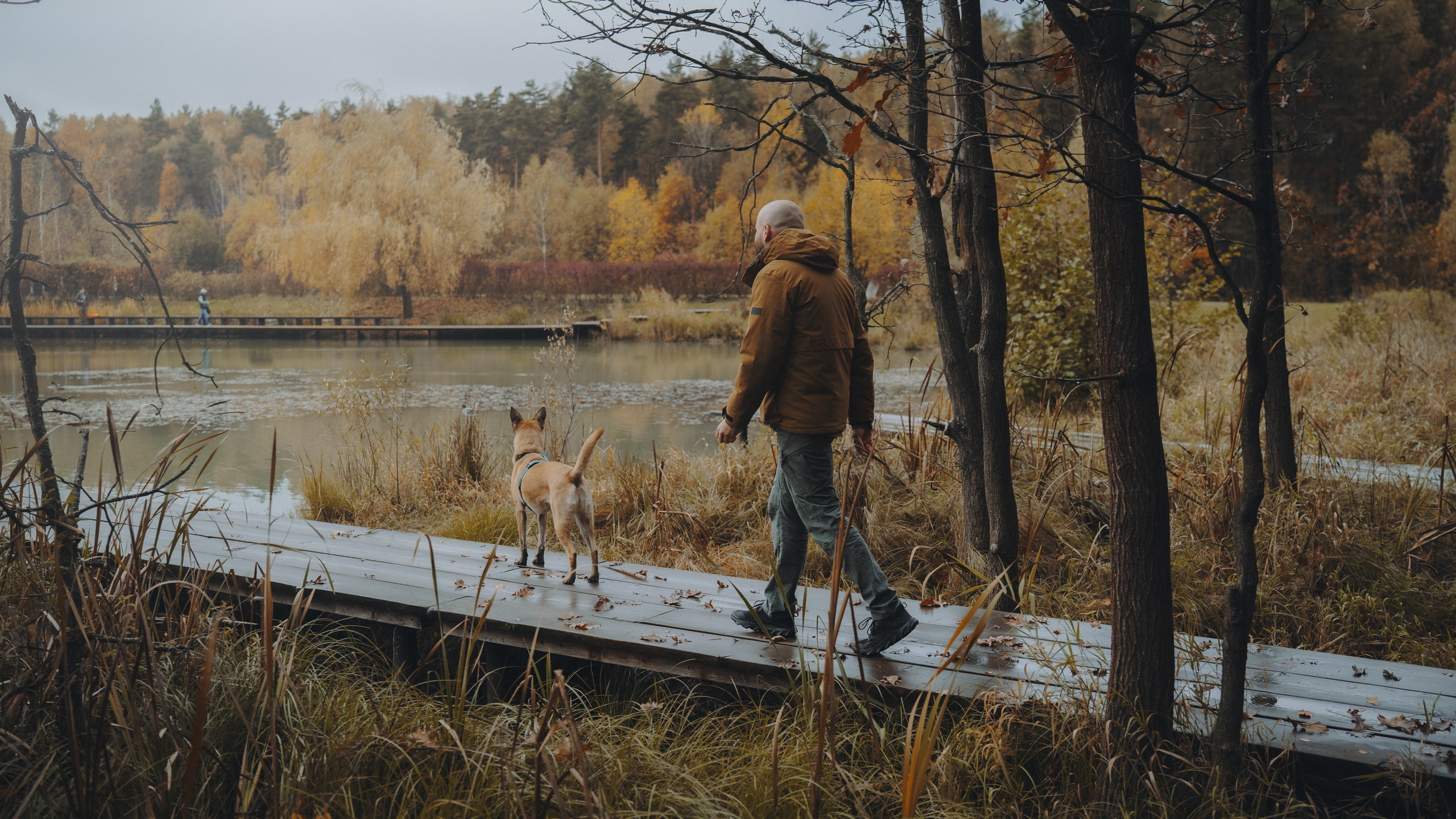 Наталия, Иван и Урса. Фотограф анималист в Москве и Санкт-Петербурге Свиридова Анна