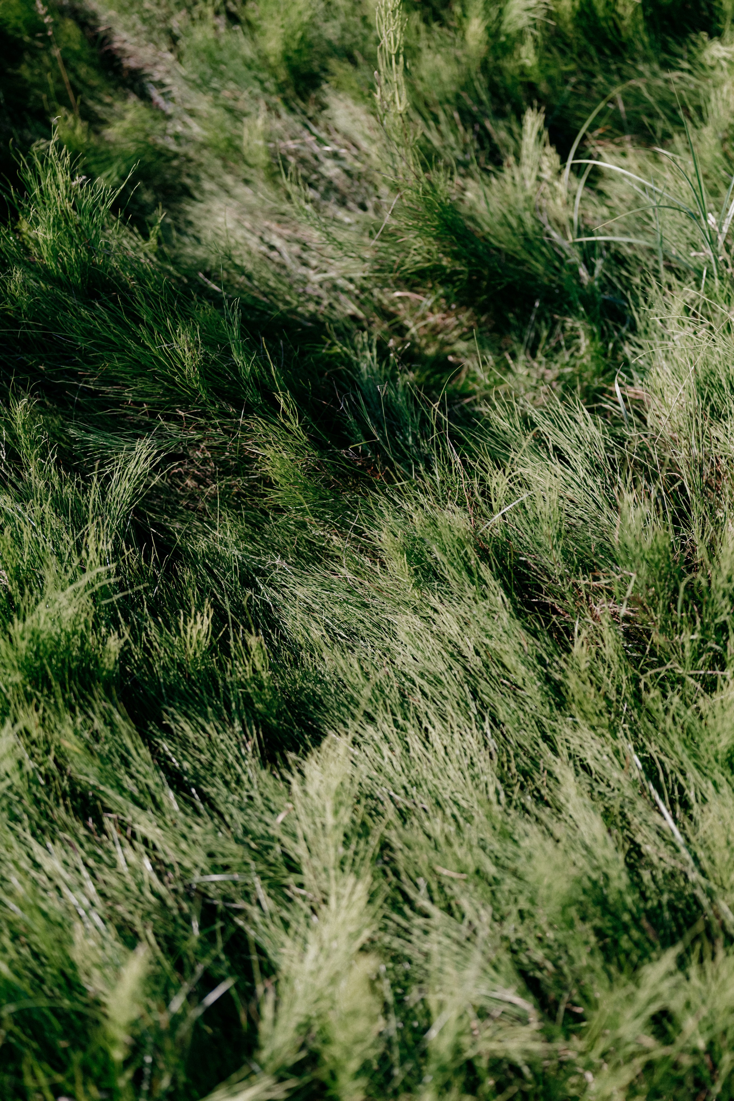 Целеево. Фотограф в Москве Дмитрий Рогов