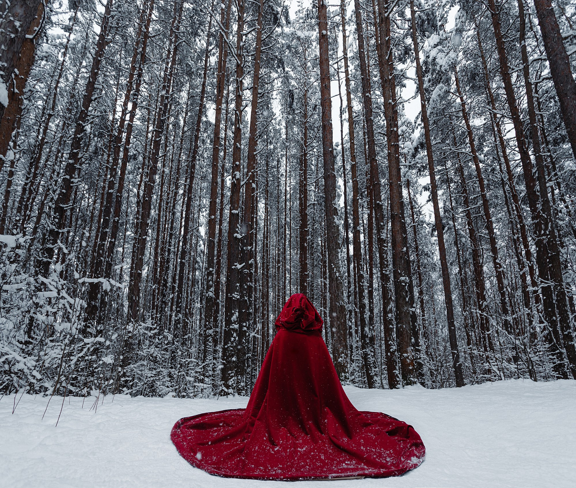 Красная шапочка. Боченков Вадим | Фотограф в Пскове и Санкт-Петербурге