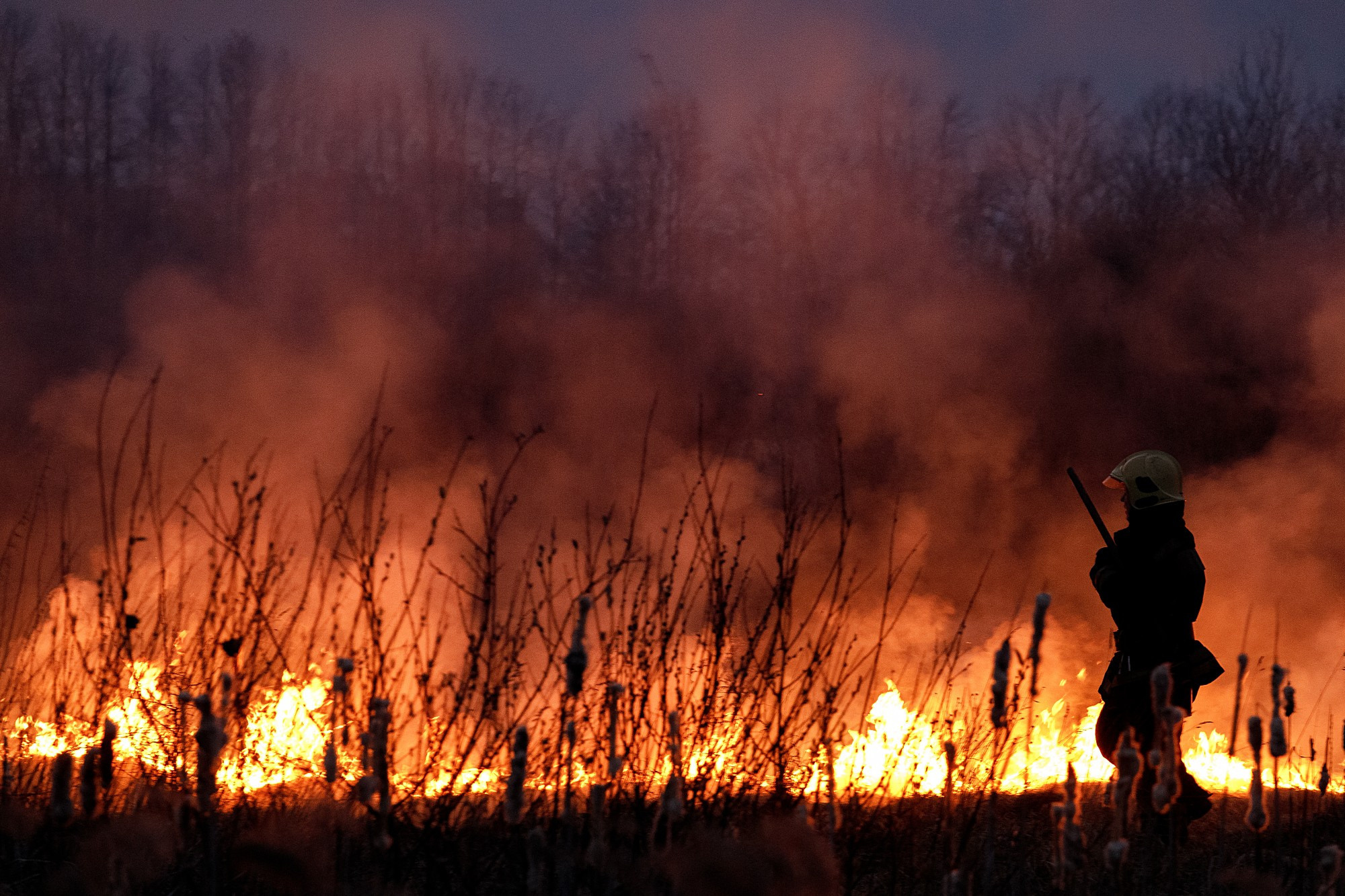 Street. Боченков Вадим | Фотограф в Пскове и Санкт-Петербурге