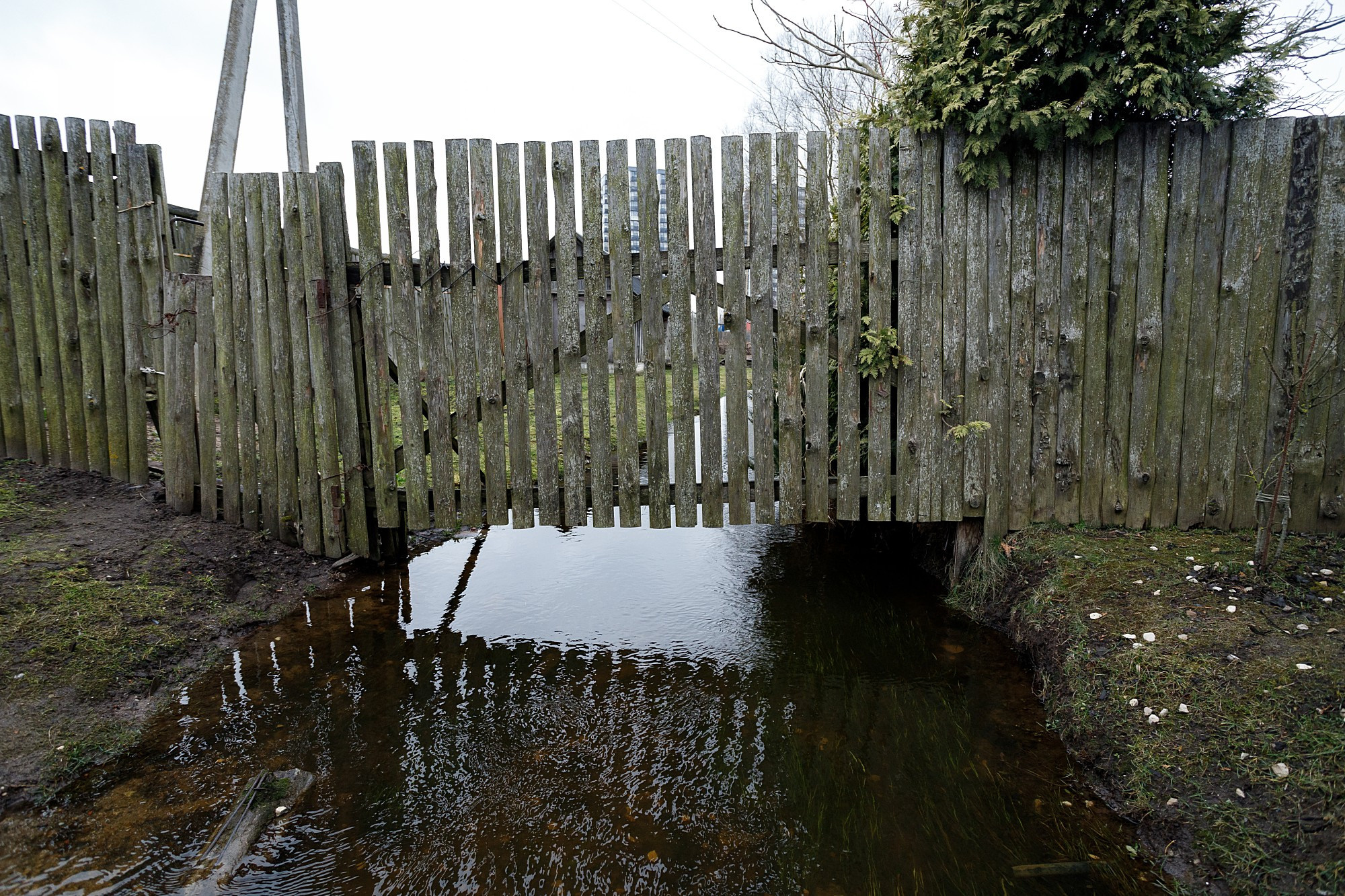 Street. Боченков Вадим | Фотограф в Пскове и Санкт-Петербурге