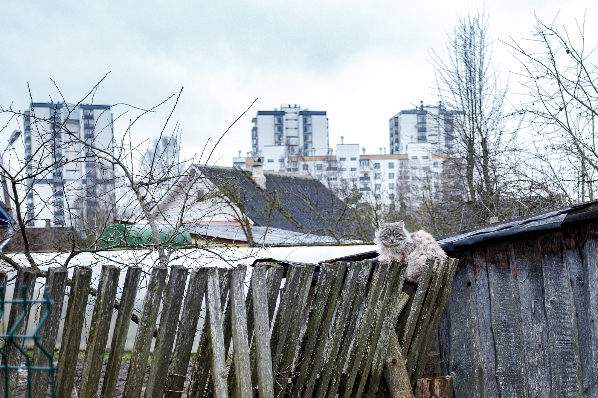 Street. Боченков Вадим | Фотограф в Пскове и Санкт-Петербурге