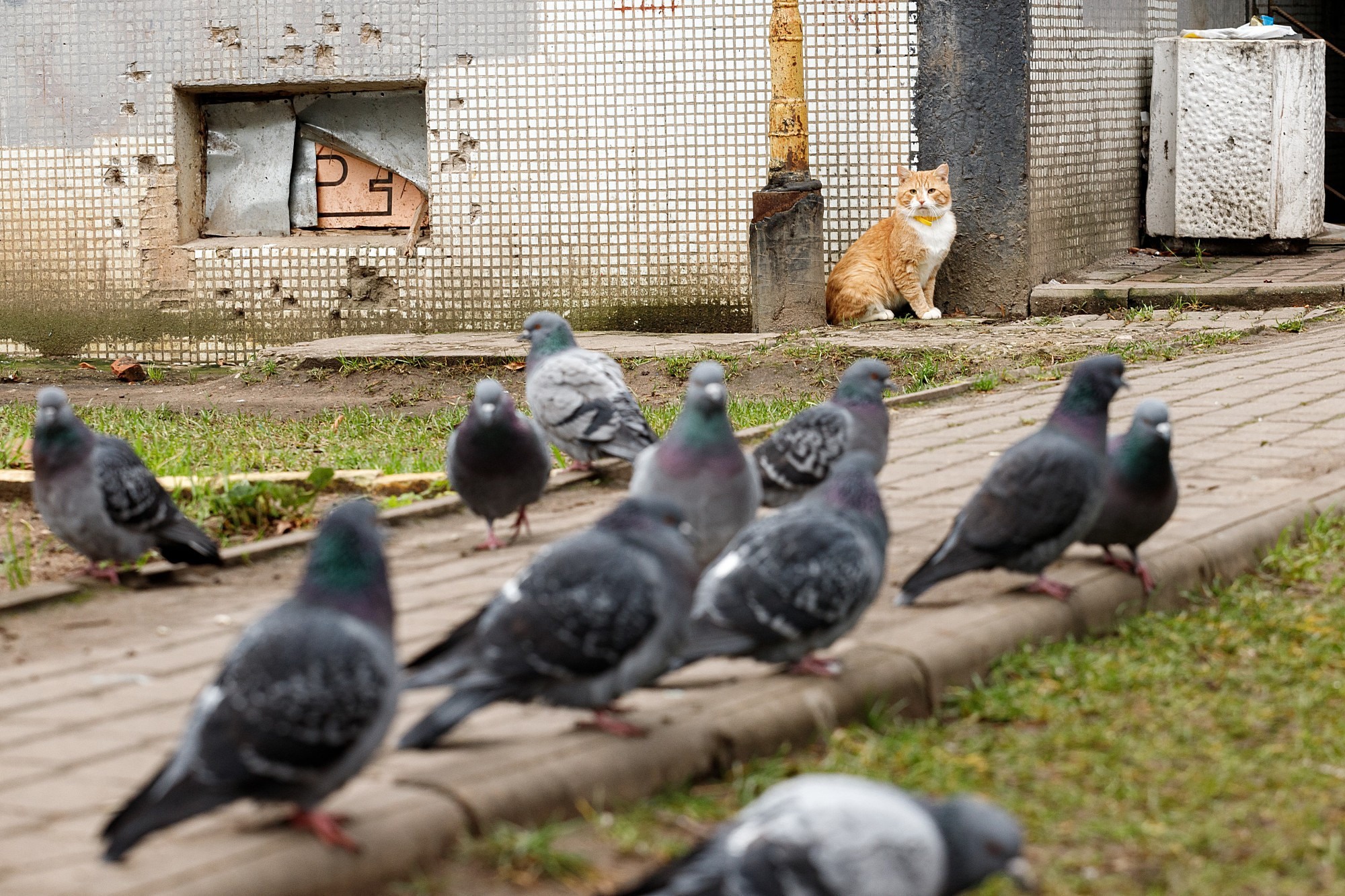 Street. Боченков Вадим | Фотограф в Пскове и Санкт-Петербурге