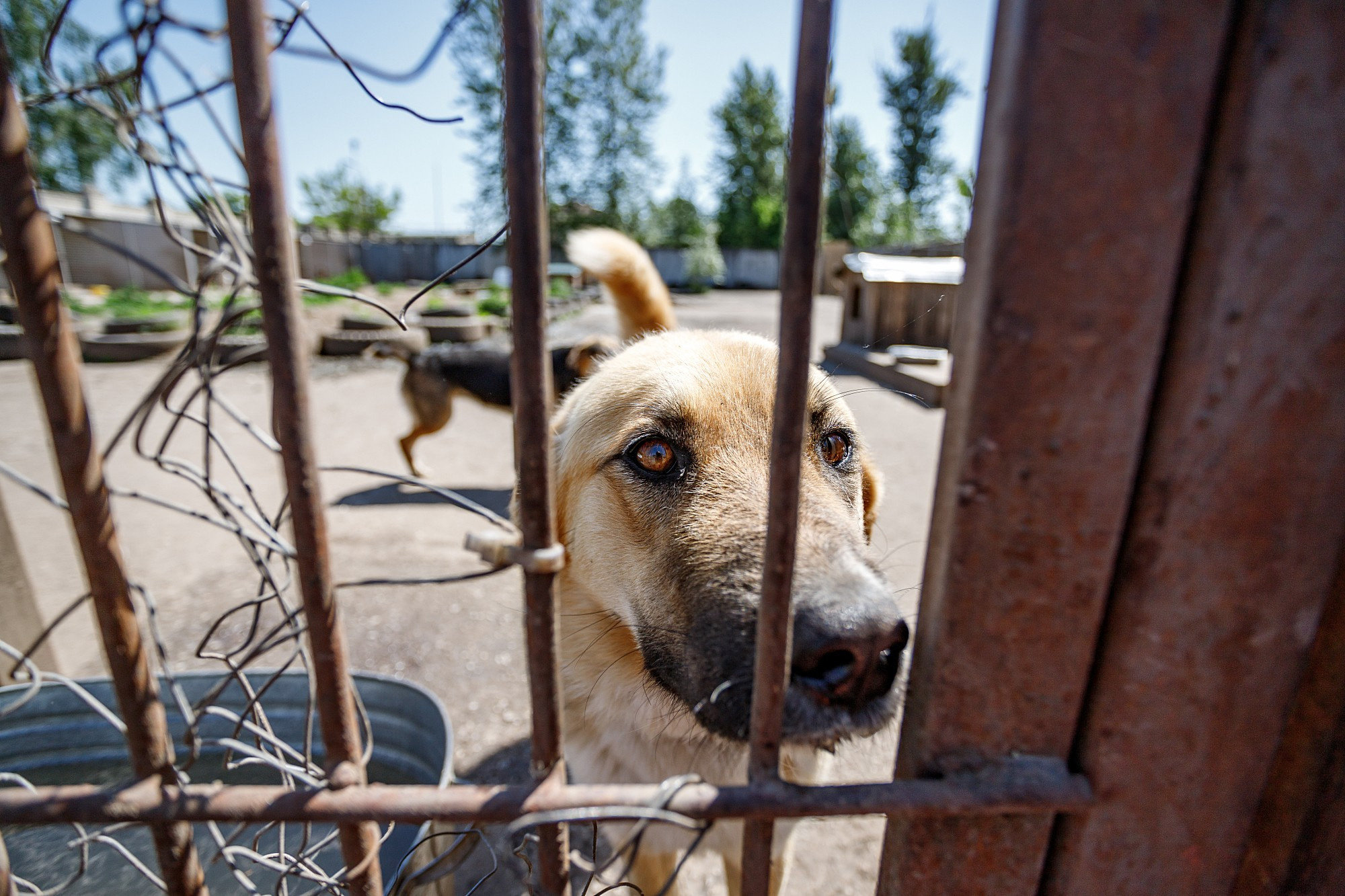 Street. Боченков Вадим | Фотограф в Пскове и Санкт-Петербурге