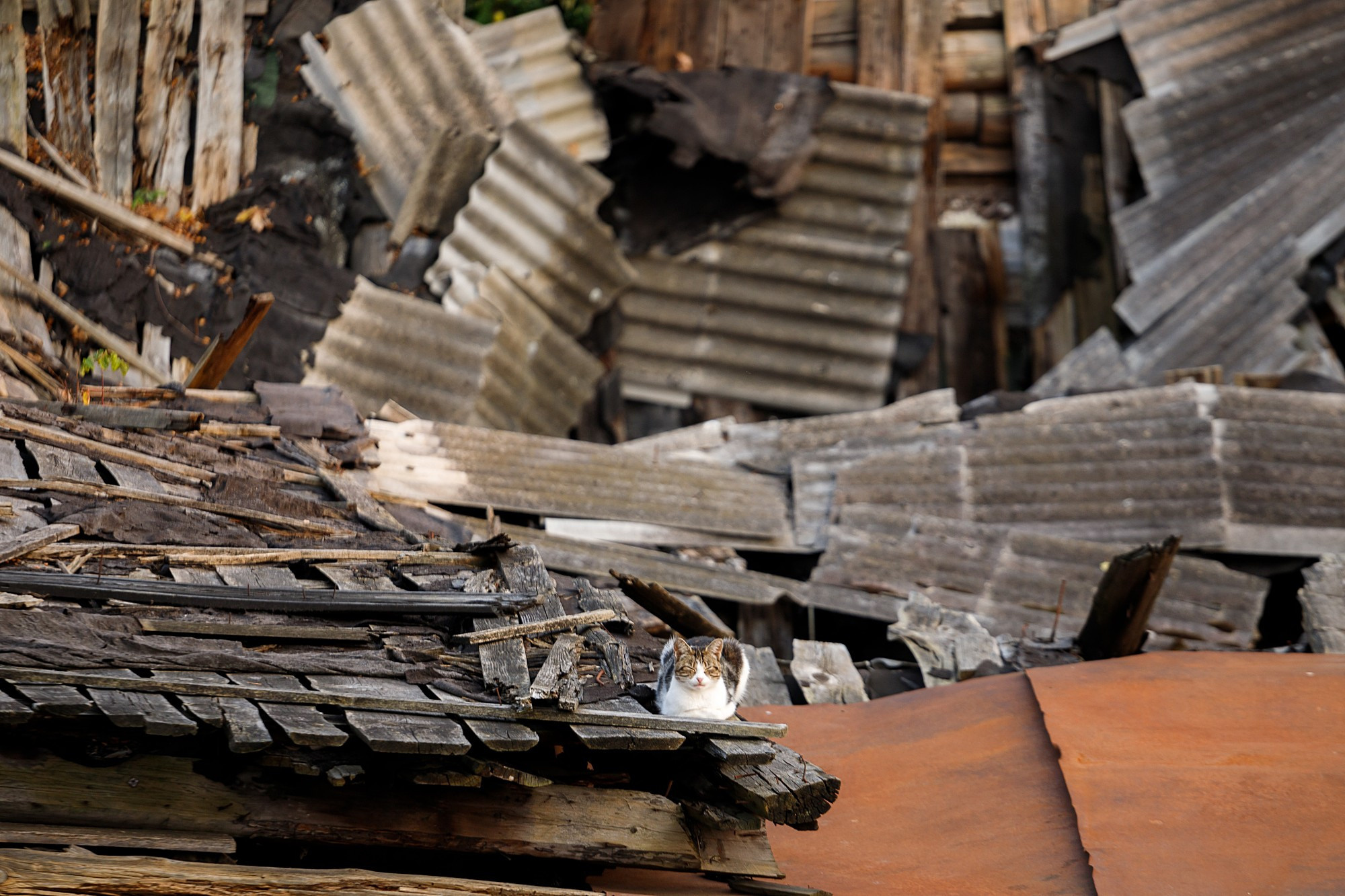 Street. Боченков Вадим | Фотограф в Пскове и Санкт-Петербурге
