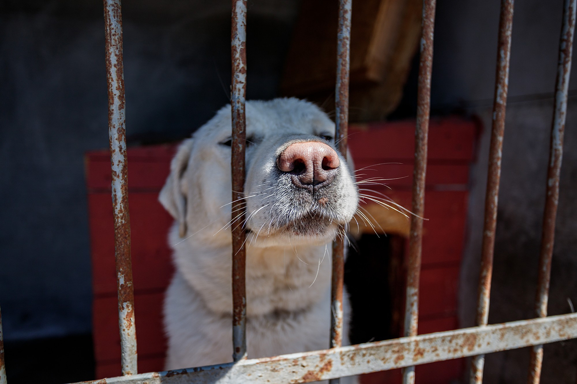 Street. Боченков Вадим | Фотограф в Пскове и Санкт-Петербурге