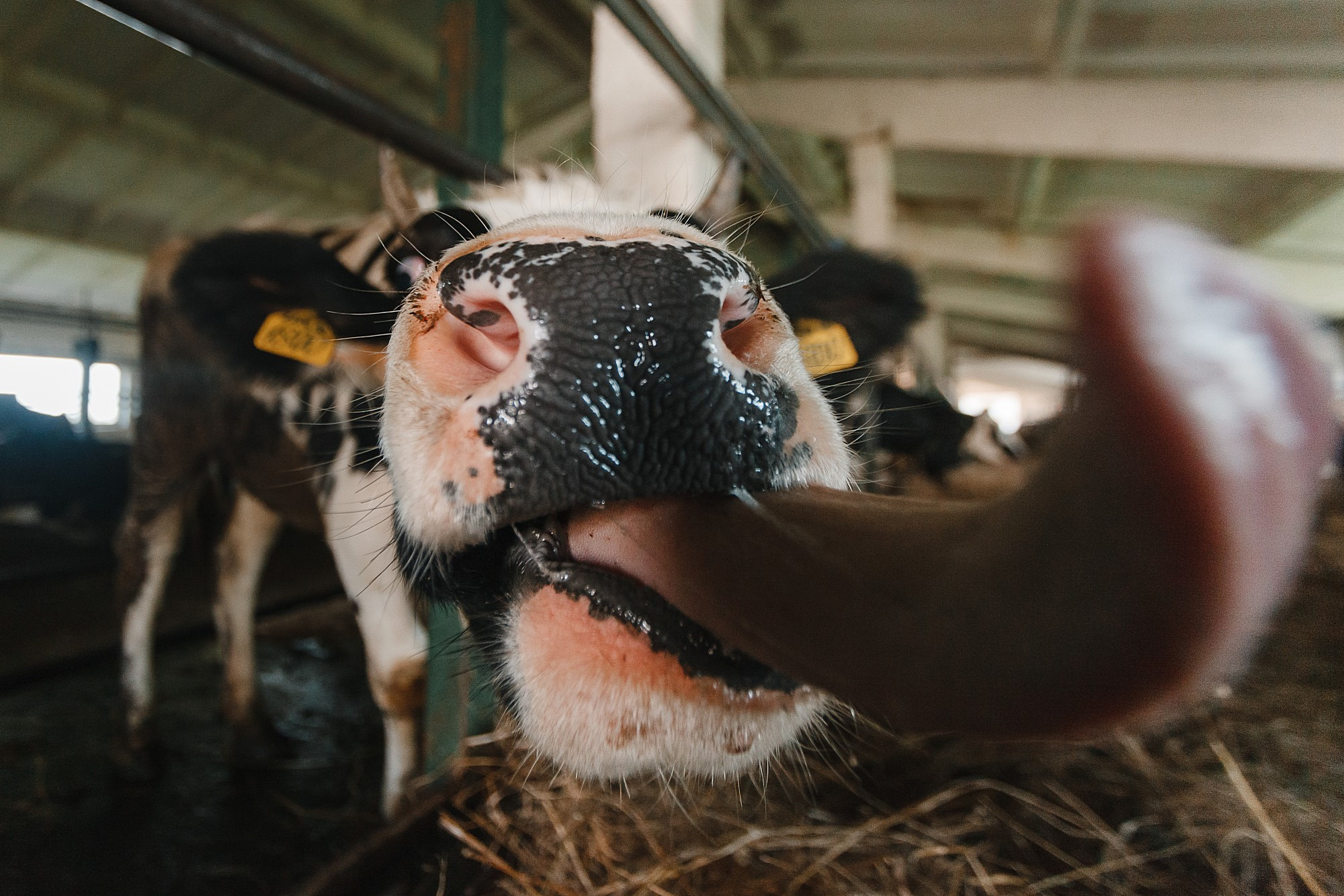 Street. Боченков Вадим | Фотограф в Пскове и Санкт-Петербурге