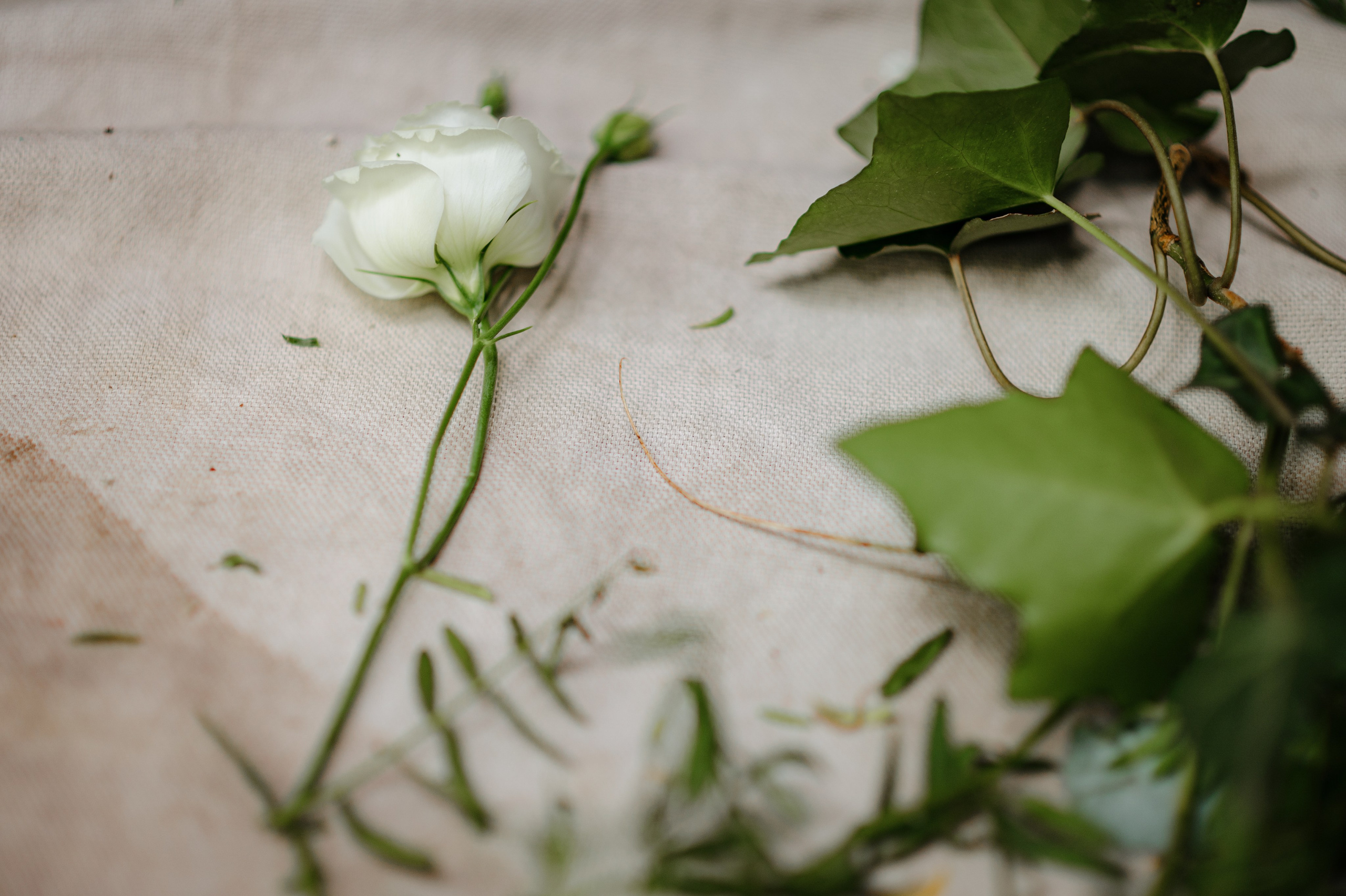 Съёмка свадебного декора. 100-й пруд. Свадебный фотограф Константинова Елена