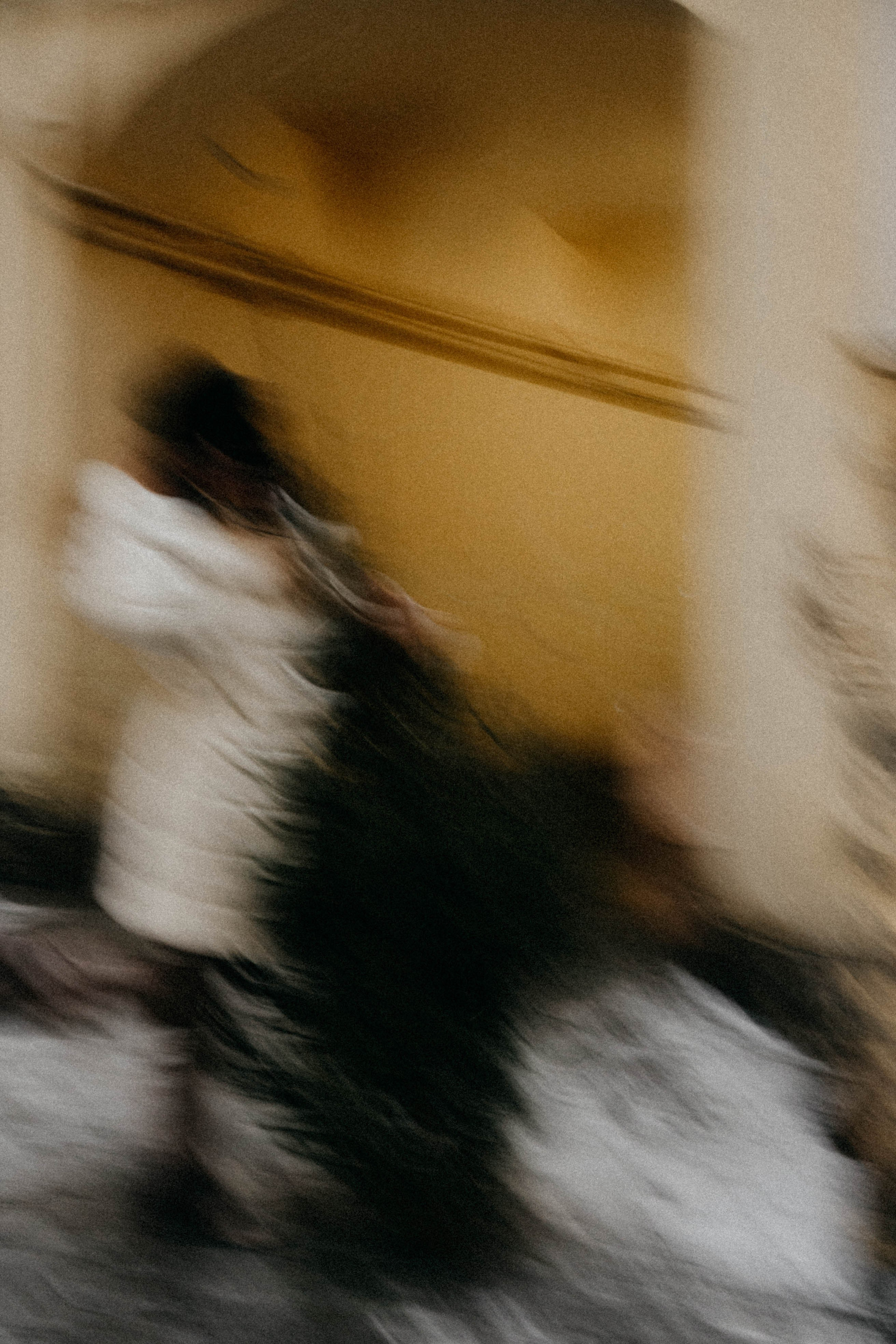 Новогодняя. Профессиональный фотограф, Санкт-Петербург — Виктория Богомолова