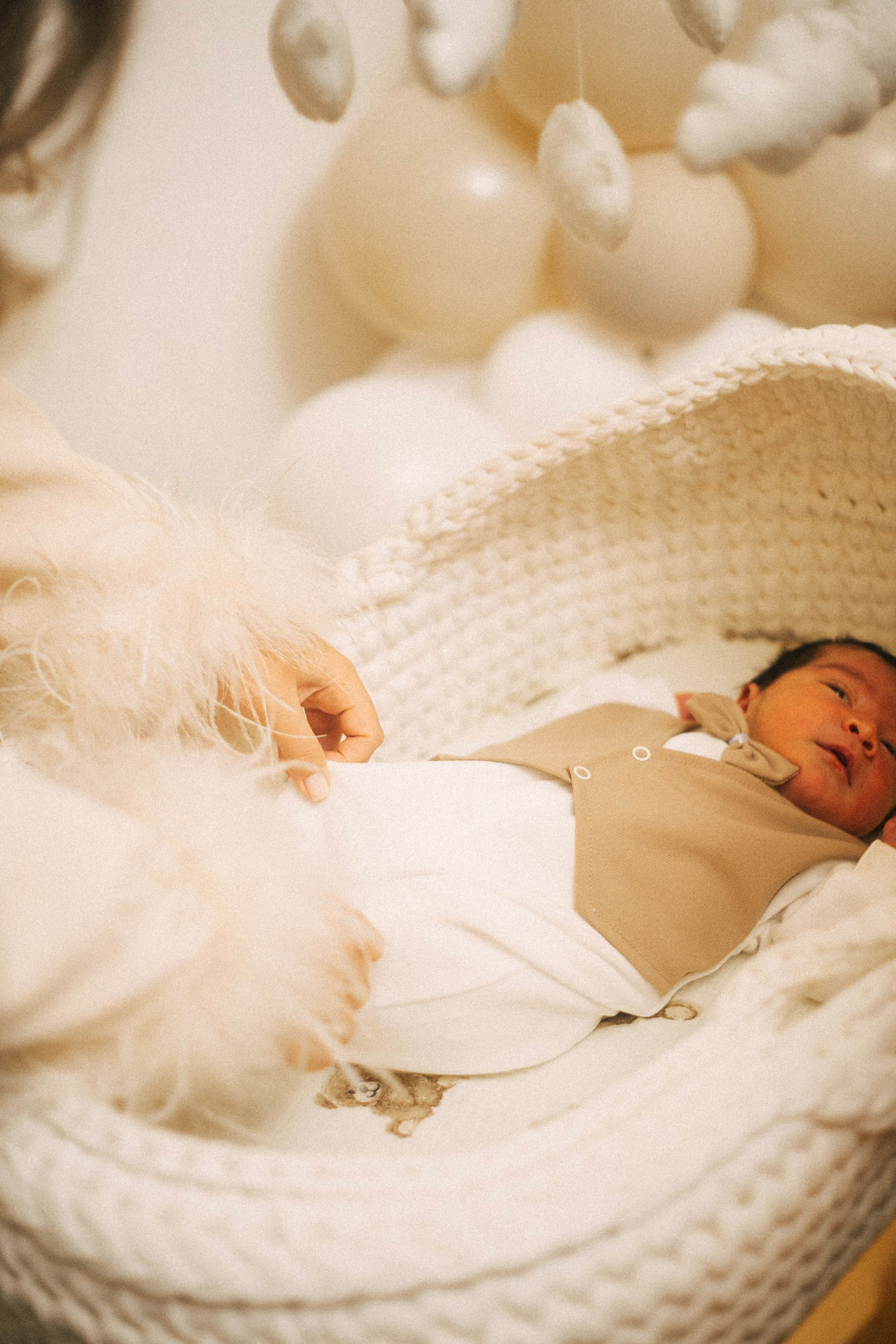 Выписка Сева, Сехран, Мурад, Имран. Семейный фотограф Юлия Котова