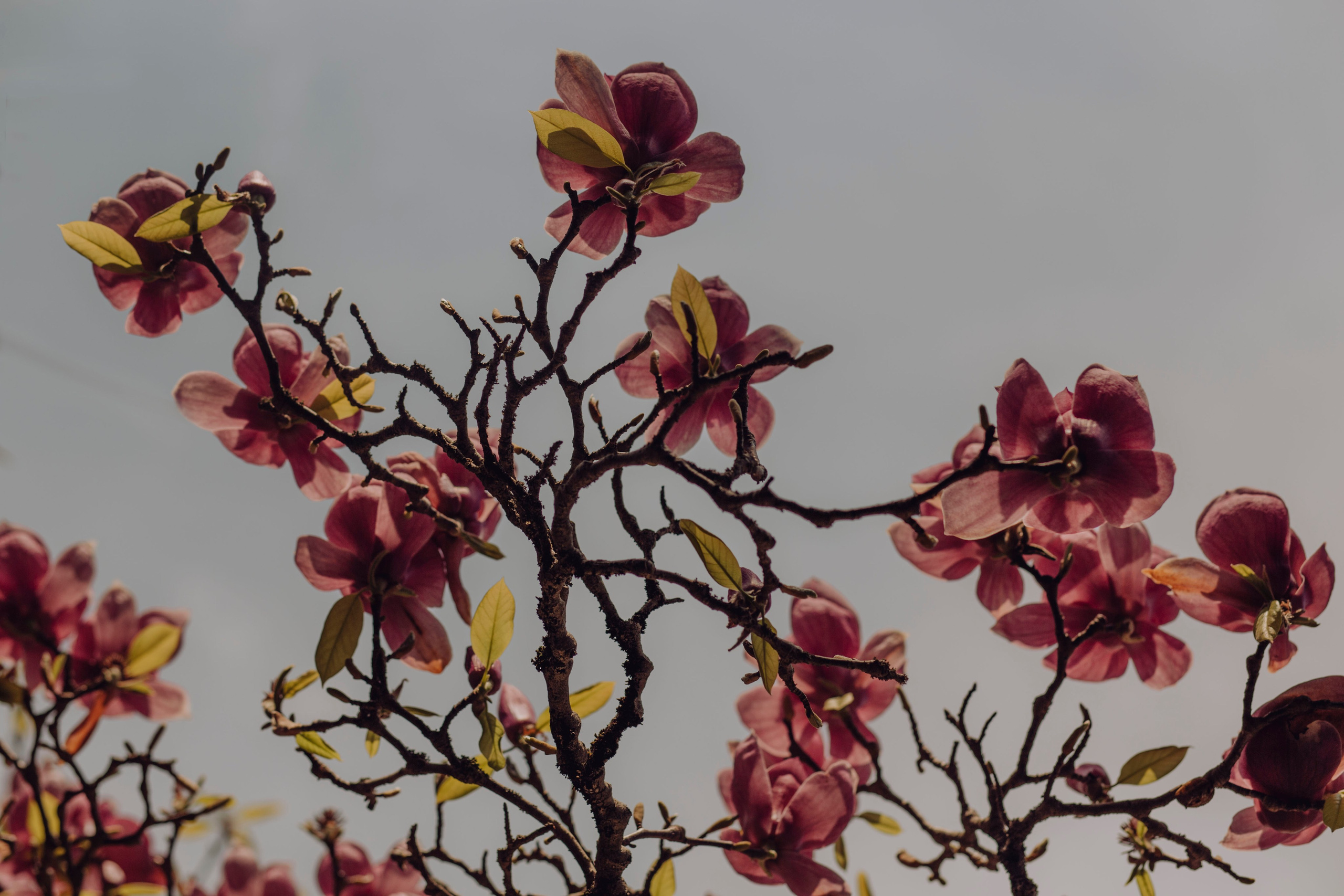 Абхазия. Ваш портретный фотограф в Москве Катя Прокофьева