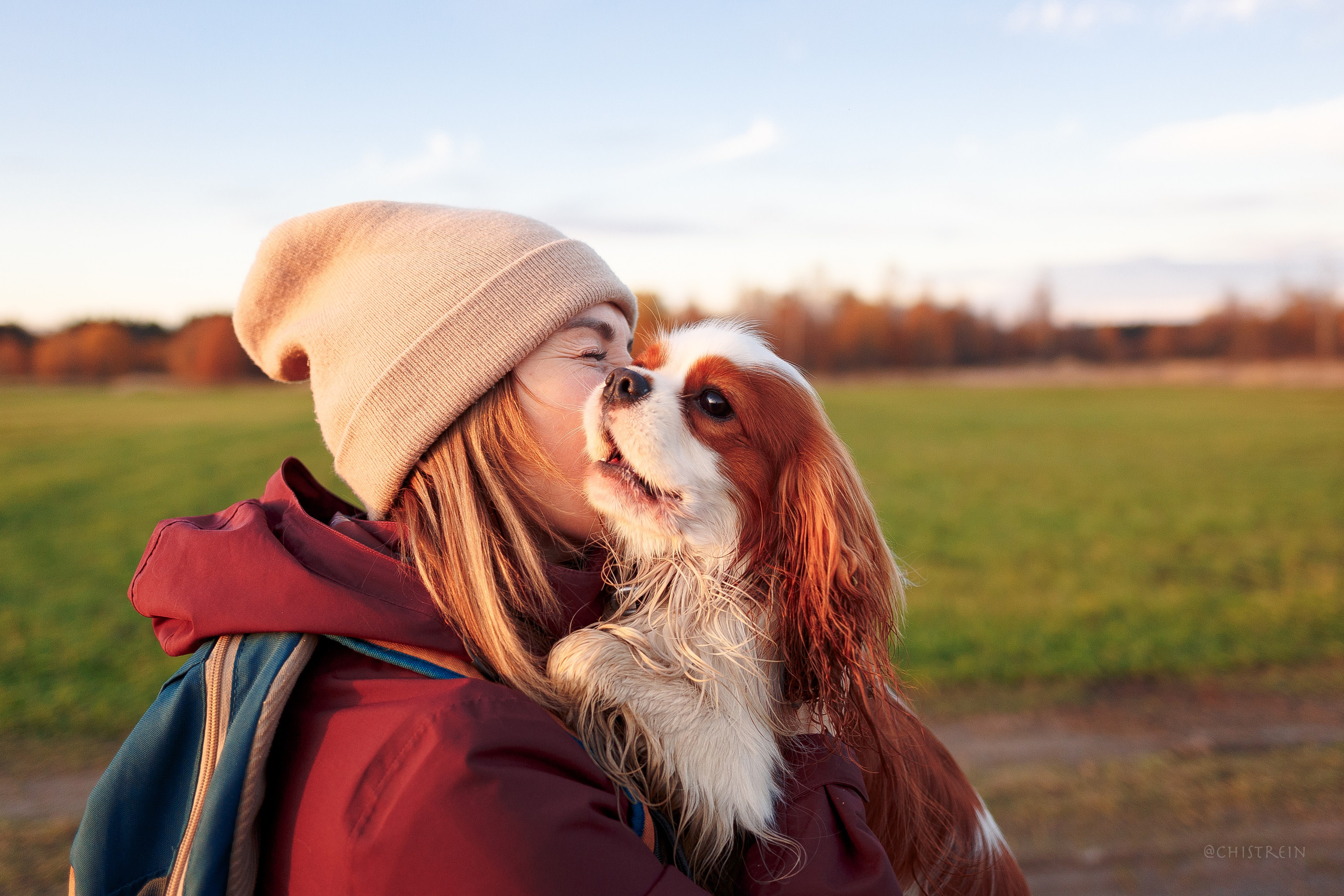 Октябрьский закат в полях. Алина и Лео. Фотограф-анималист Наталия Чистюхина в г. Сосновый Бор и ЛО