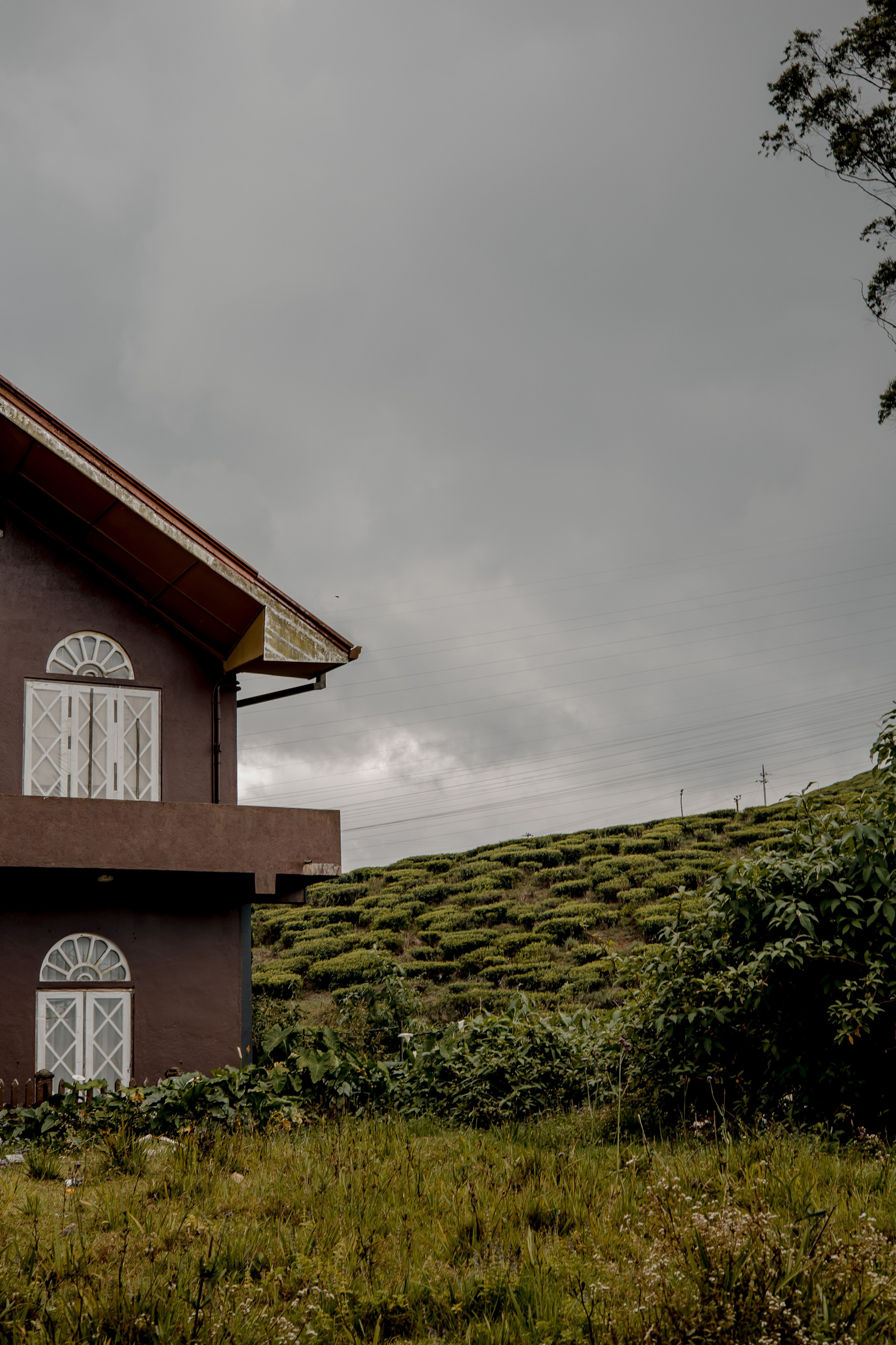 Sri Lanka, Nuwara Elia 2026. Art Photographer