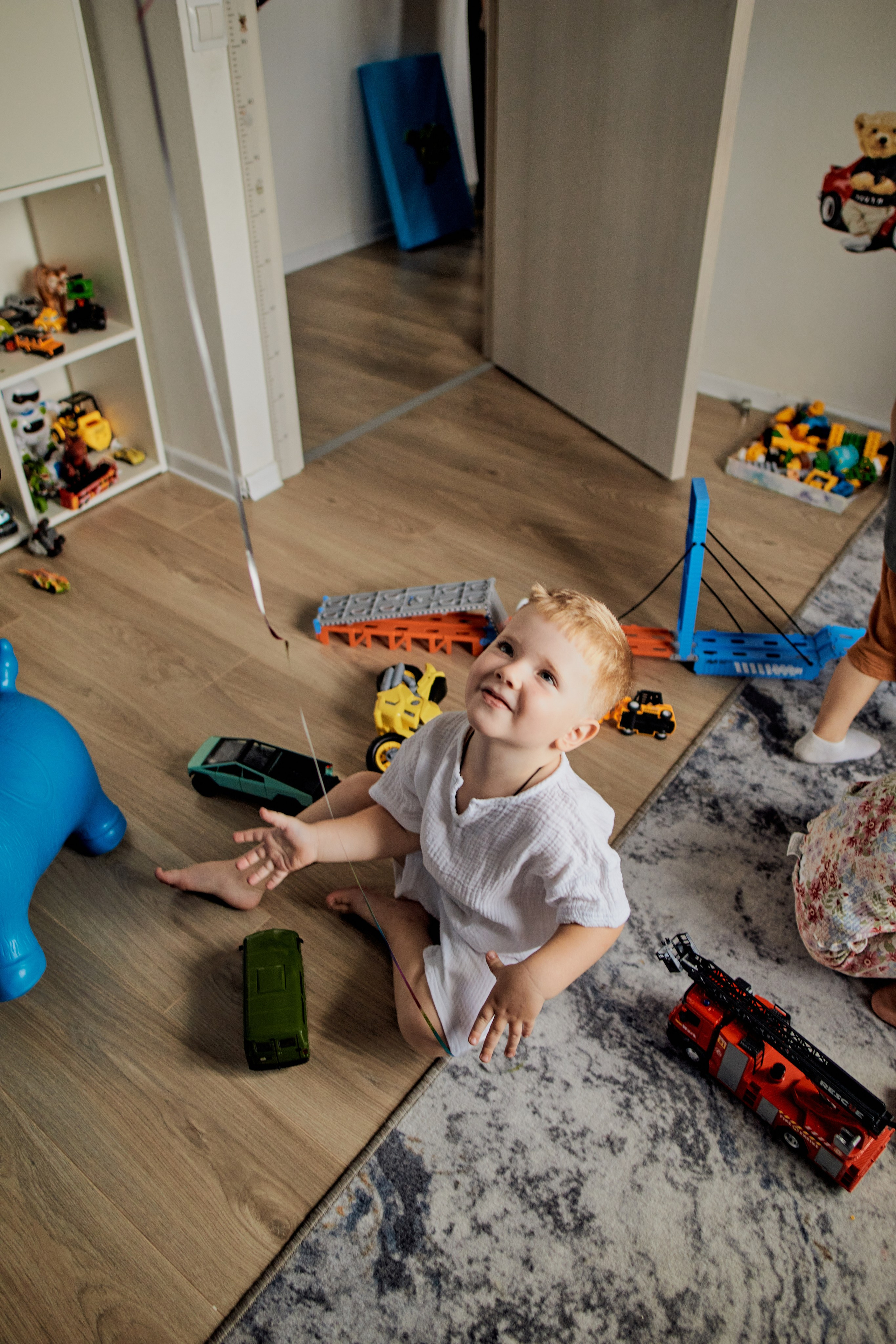 Три кота. Фотограф Москва