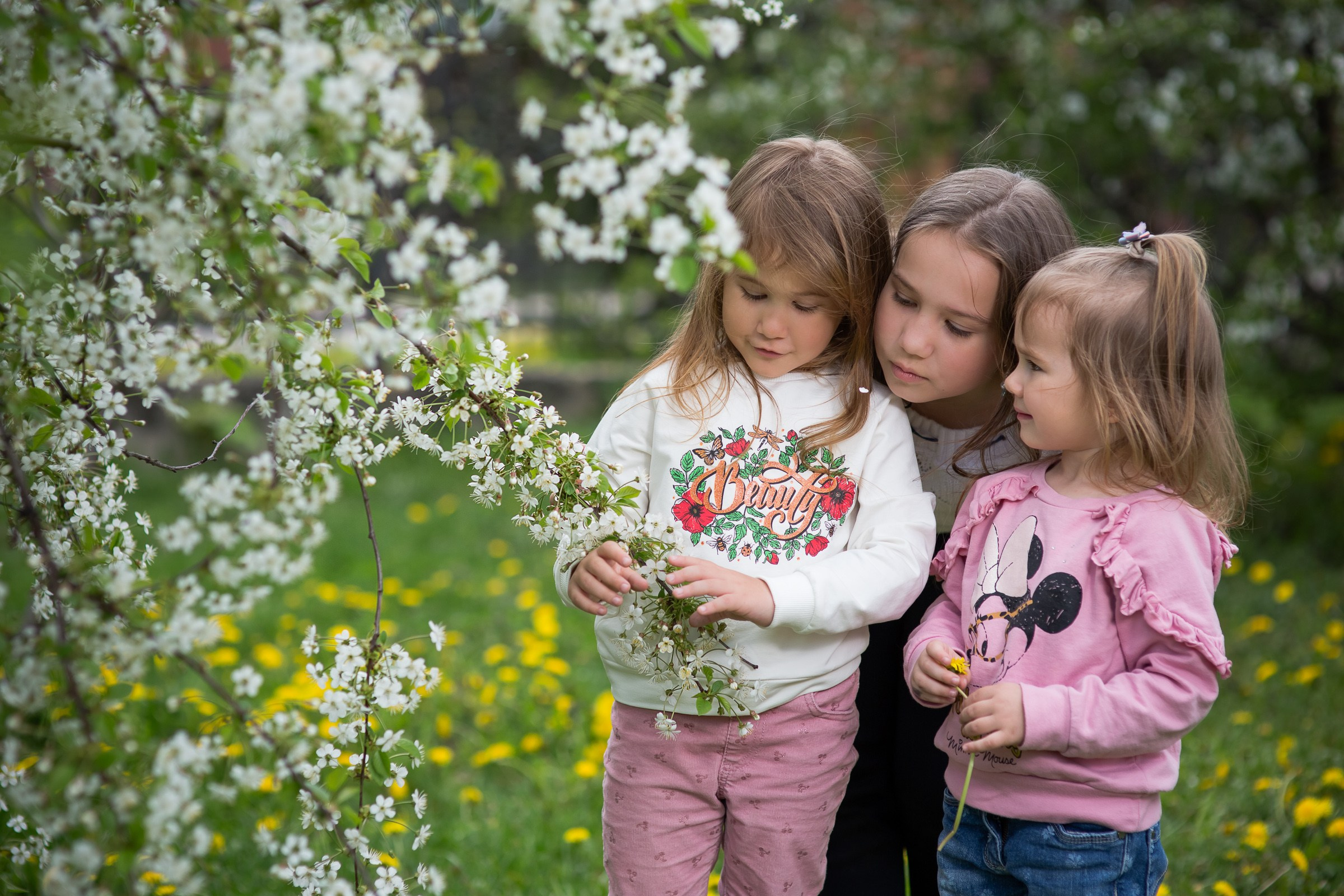 Цветущие сады. Свадебная фотосъёмка в Москве, Туле