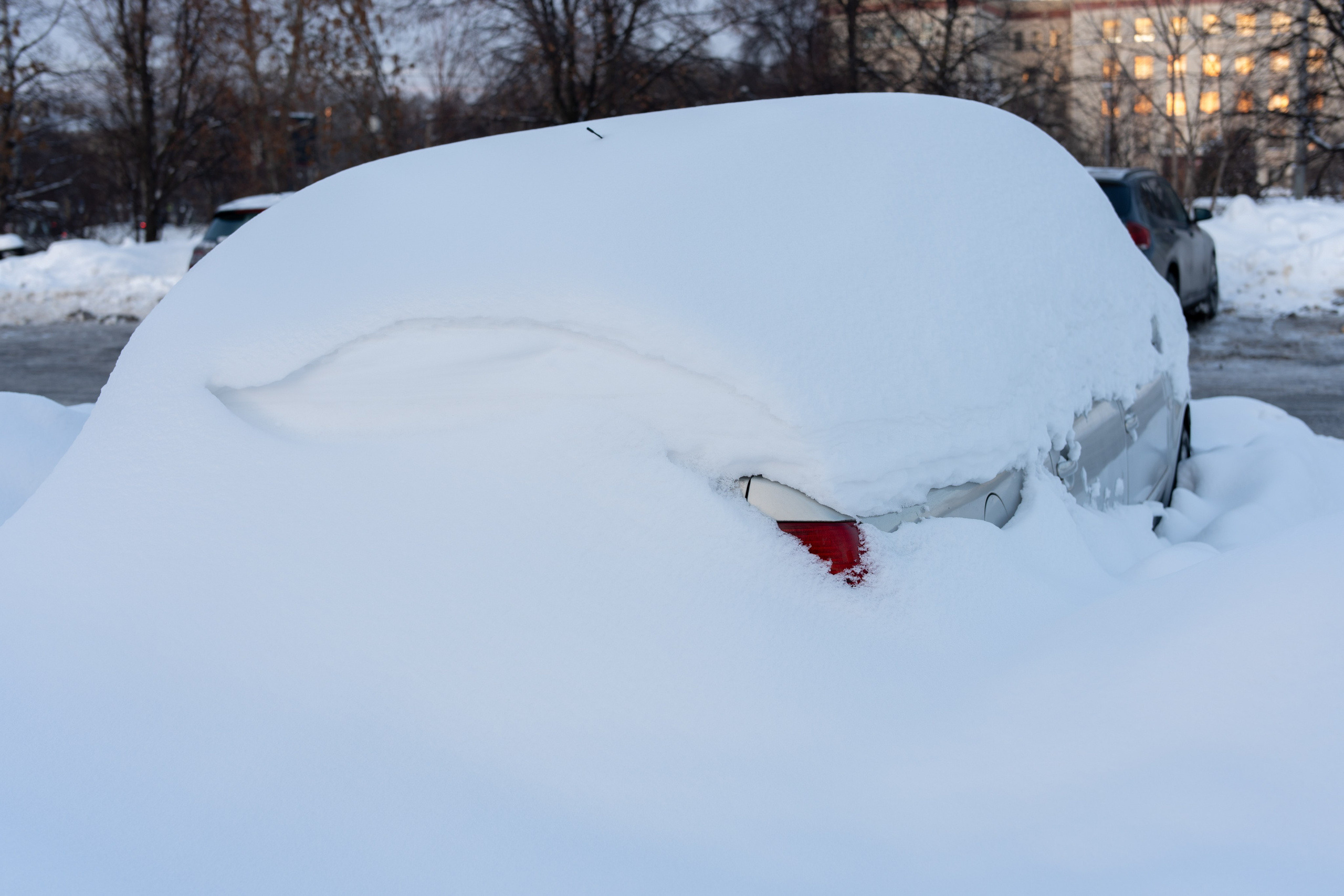 20260118 МГУ. Дмитрий Ремизов. Фотография, как хобби