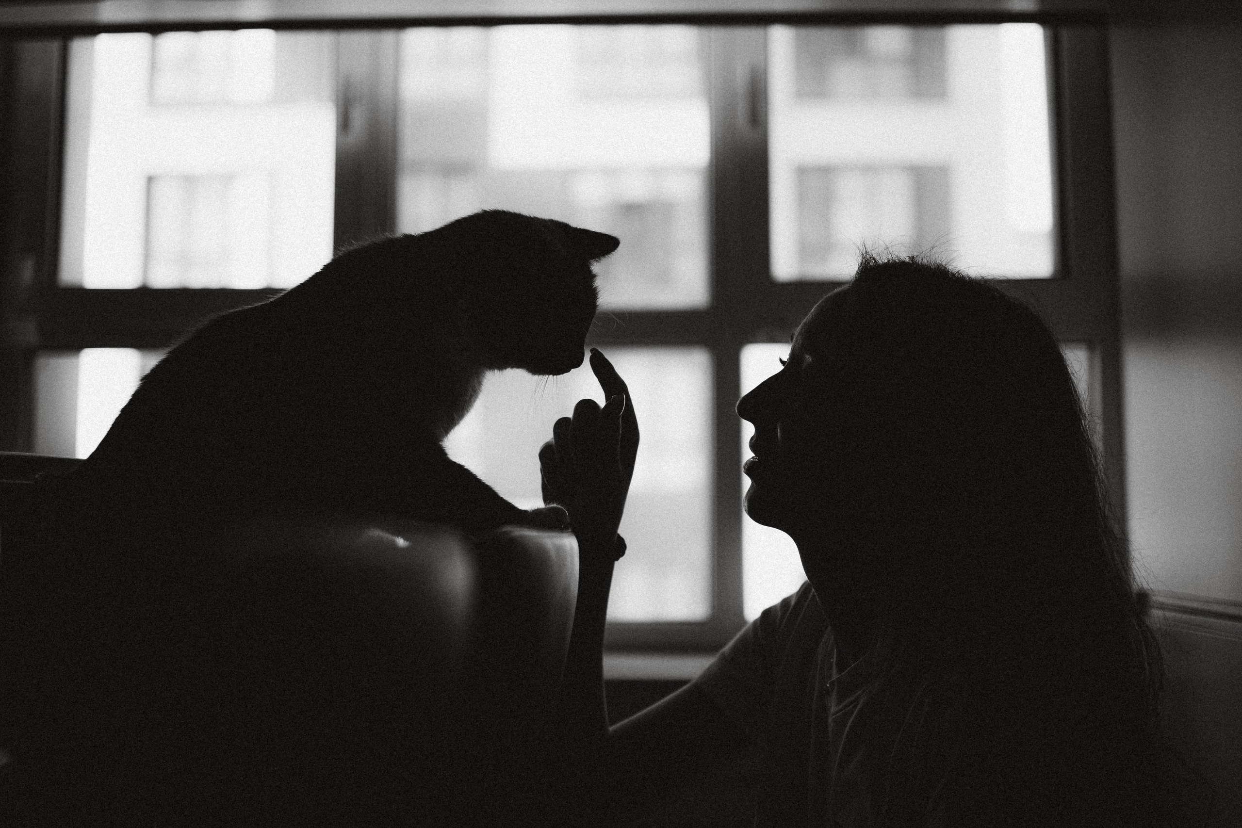 Наташа, Маруся и Зефир