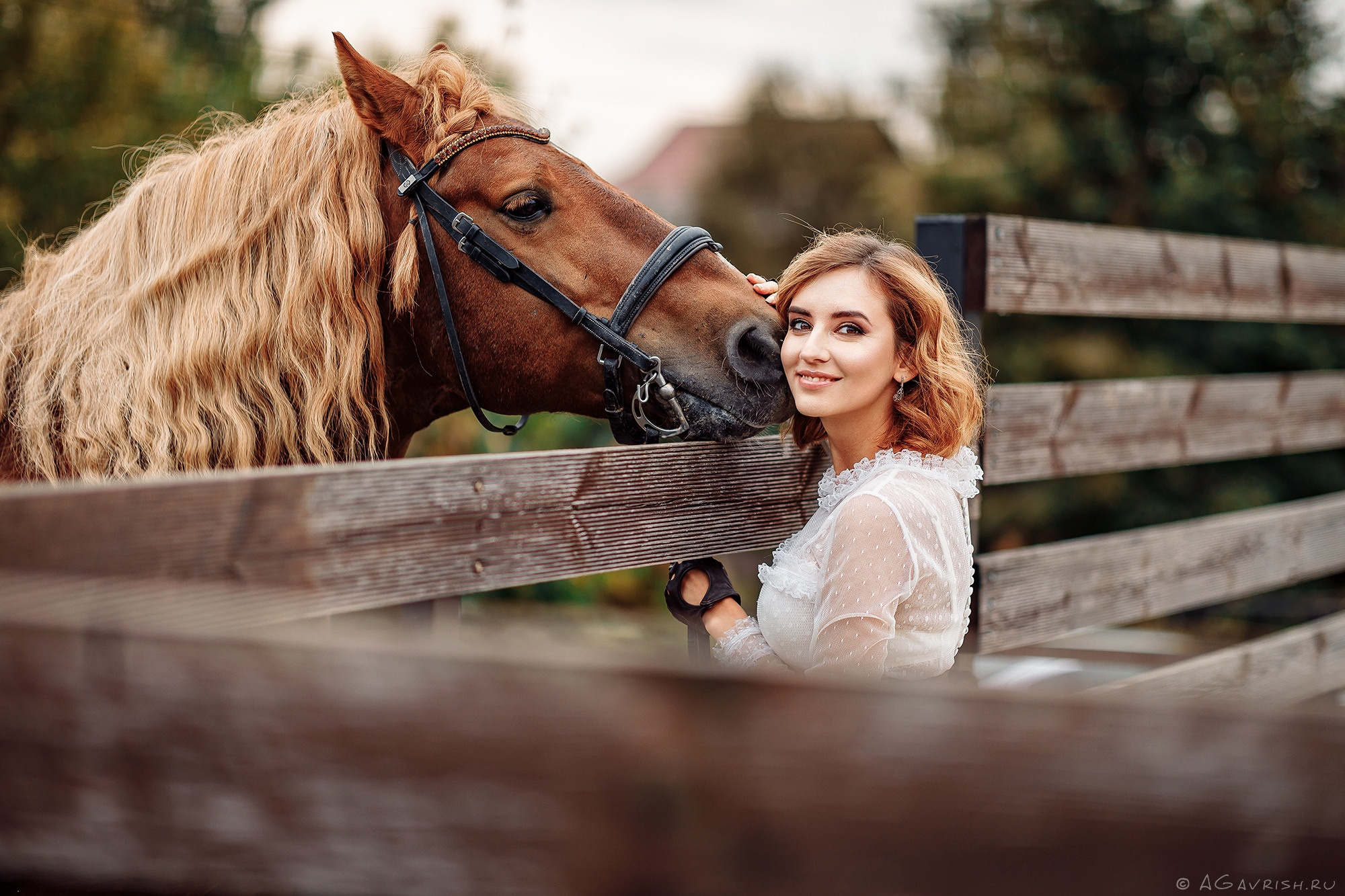 Конное ранчо. Фотограф Александр Гавриш — фотосессии и фотопроекты в Москве