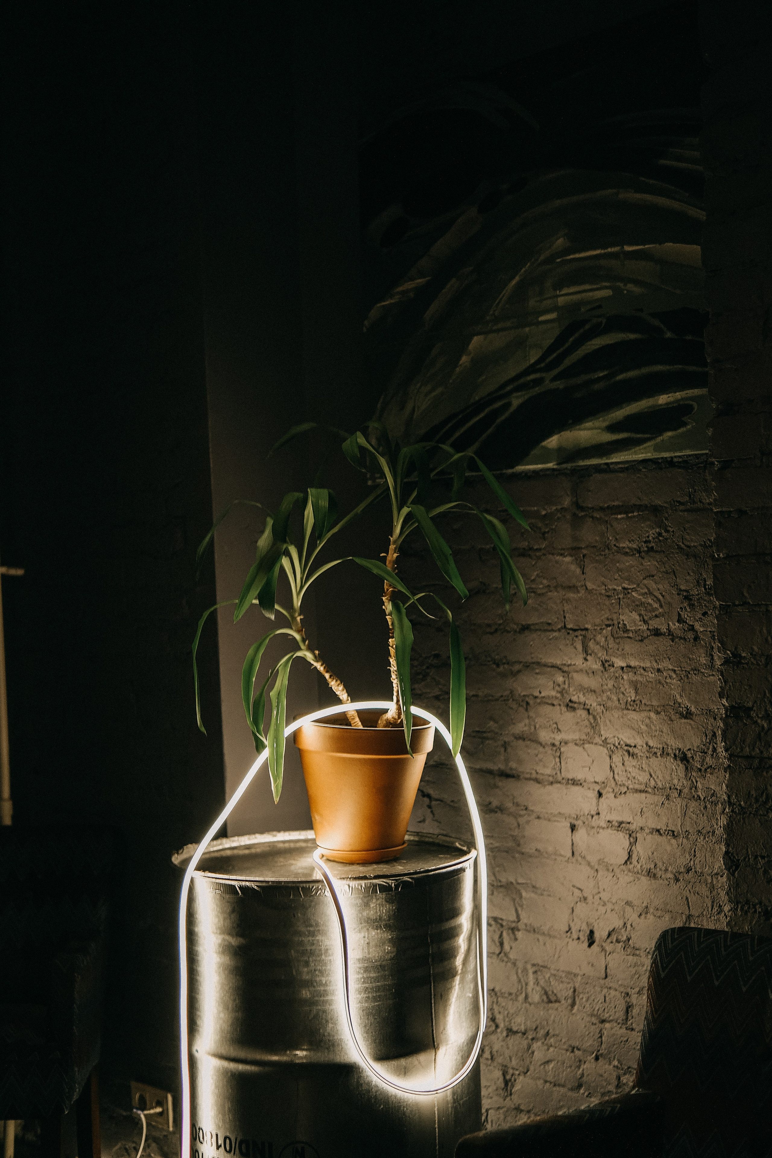 Даша & Леня СПБ. Phdkvmr.ru