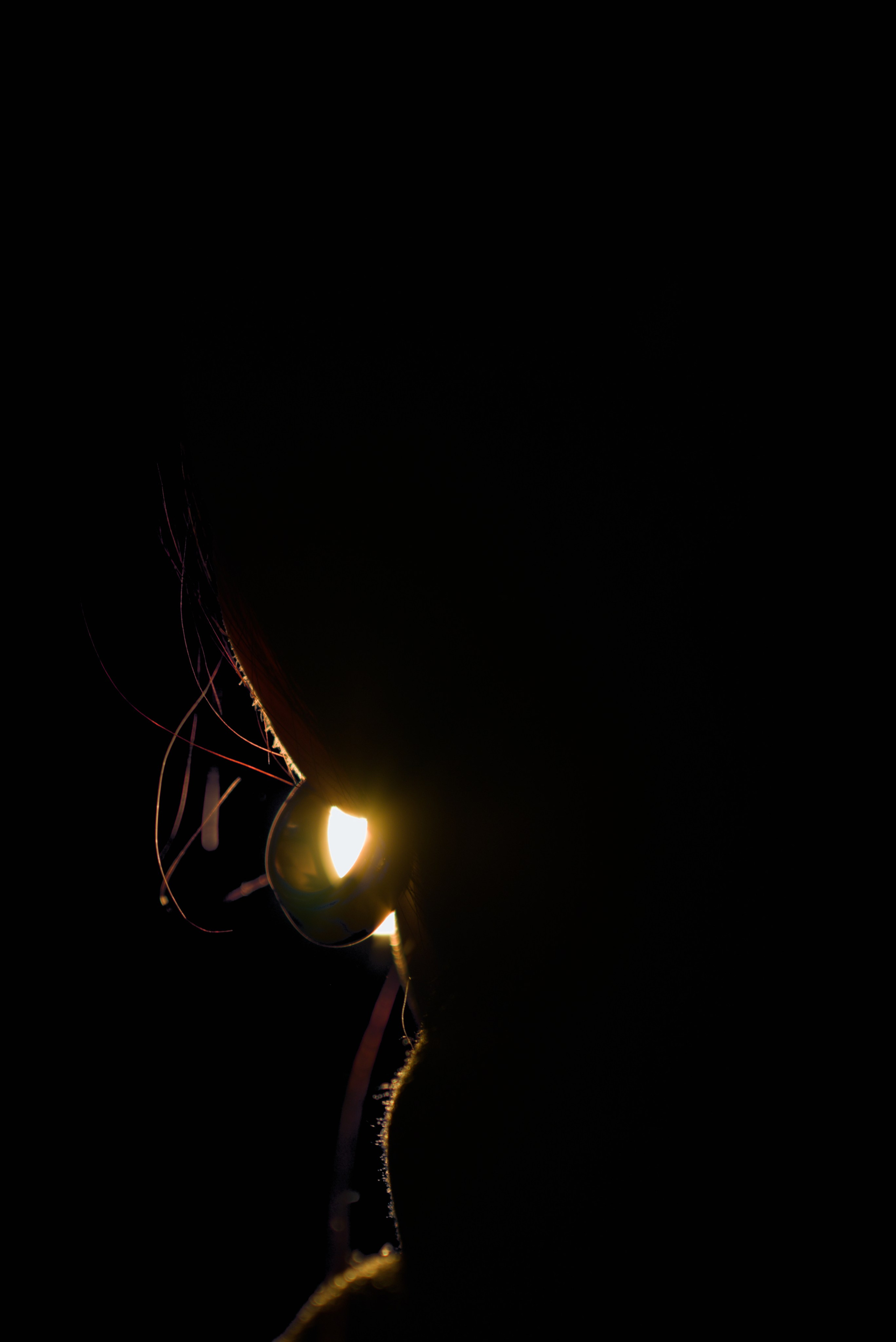 Эксперименты со светом на МК в Культе. Мир глазами Саши Д