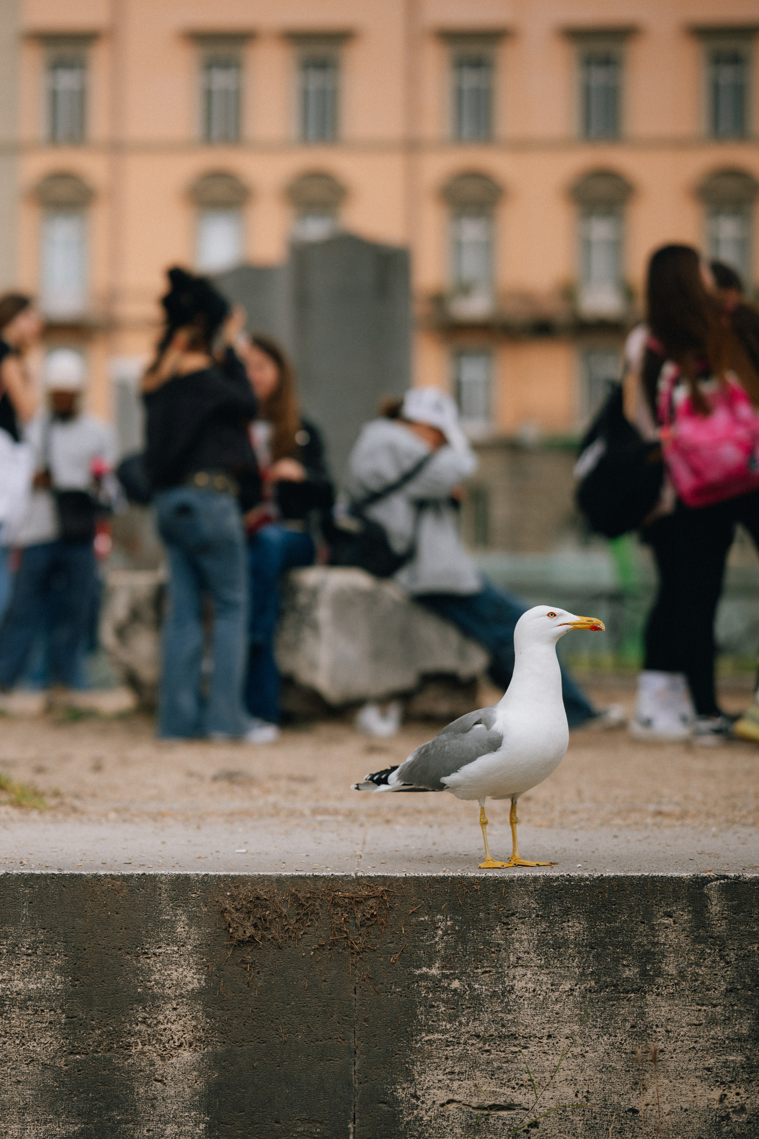 ROMA. Свадебный и семейный фотограф Никита Корохов