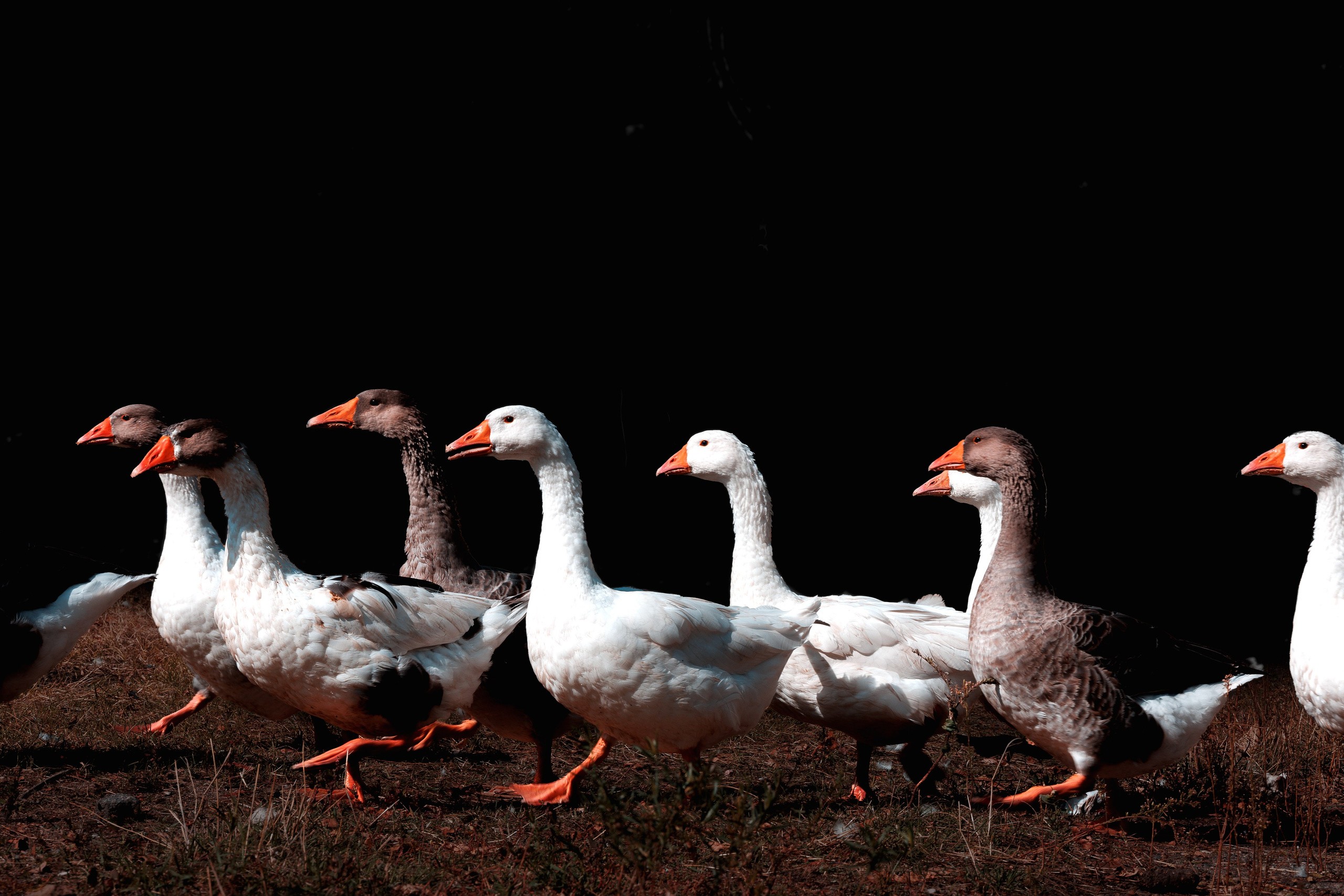 Кыргызстан | travel-репортаж. Портретный фотограф Москва | Елена Столиванова