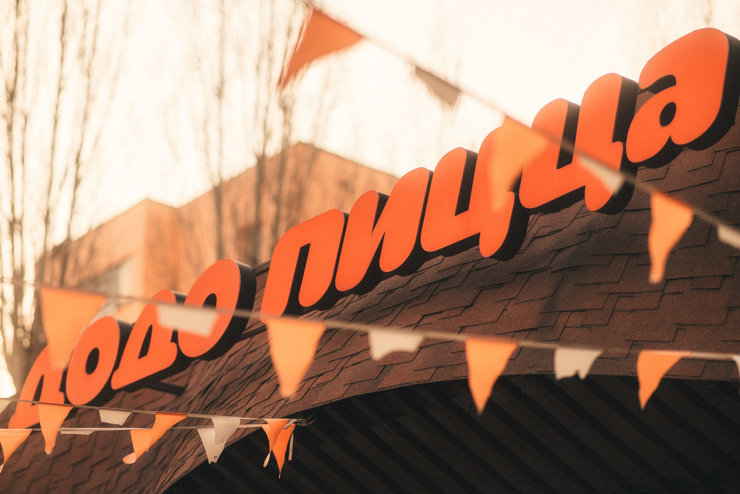 Додо Пицца. Свадебный и репортажный фотограф в Воронеже Роман Янко