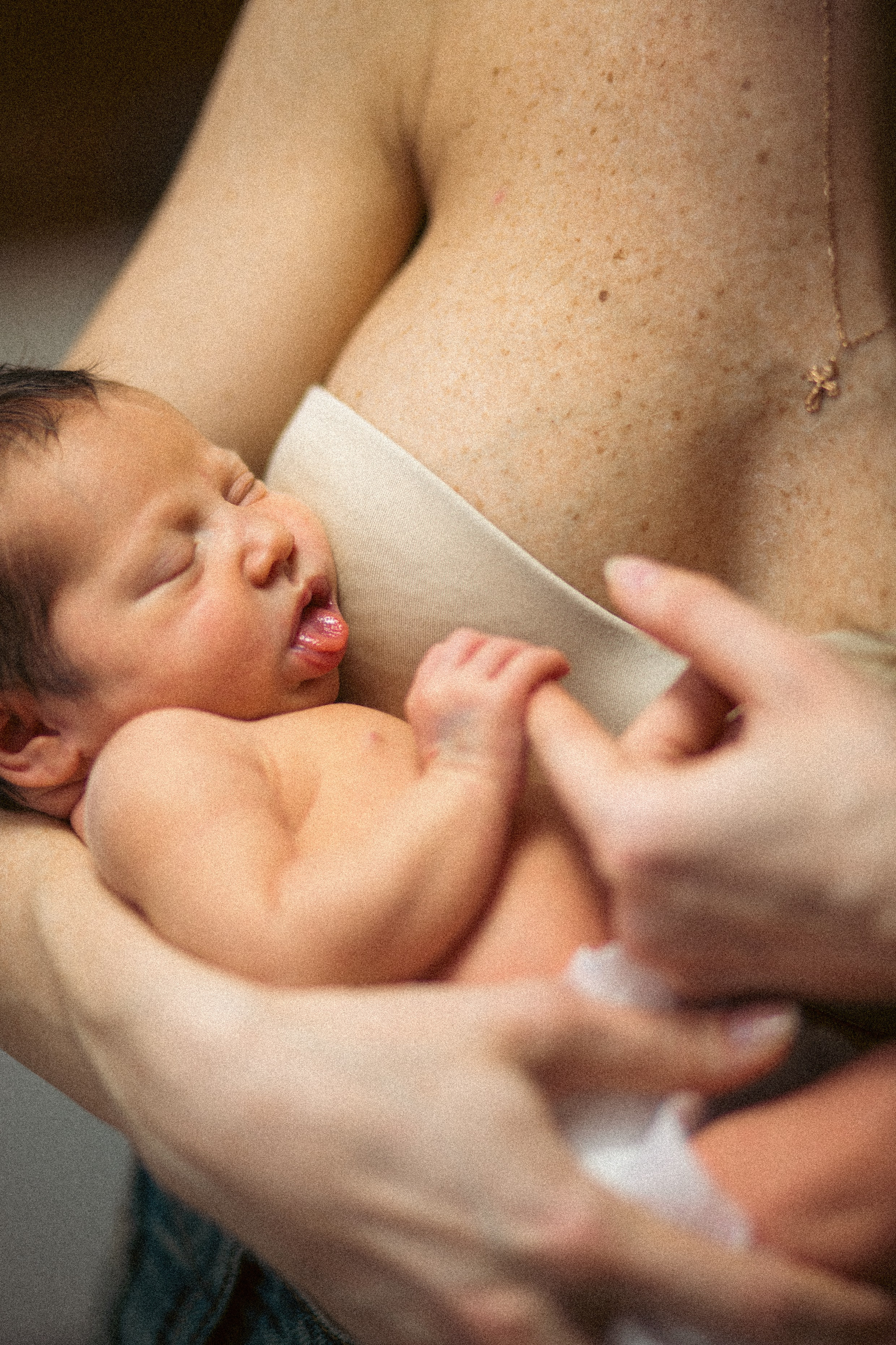 Семья Живаго. Krylovaphoto