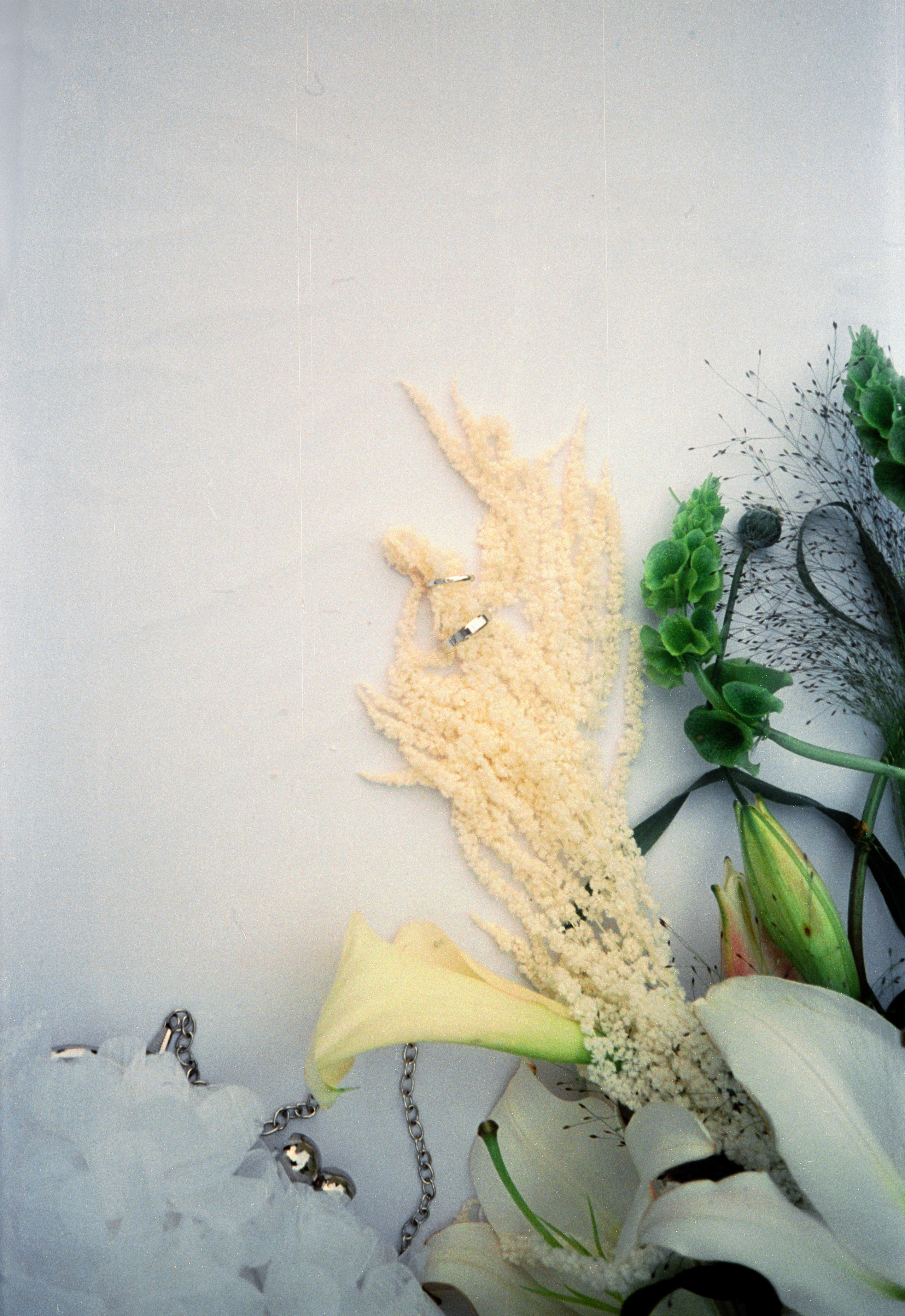 Фотограф Лиана Сафарова. Свадебные, портретные, парные съёмки