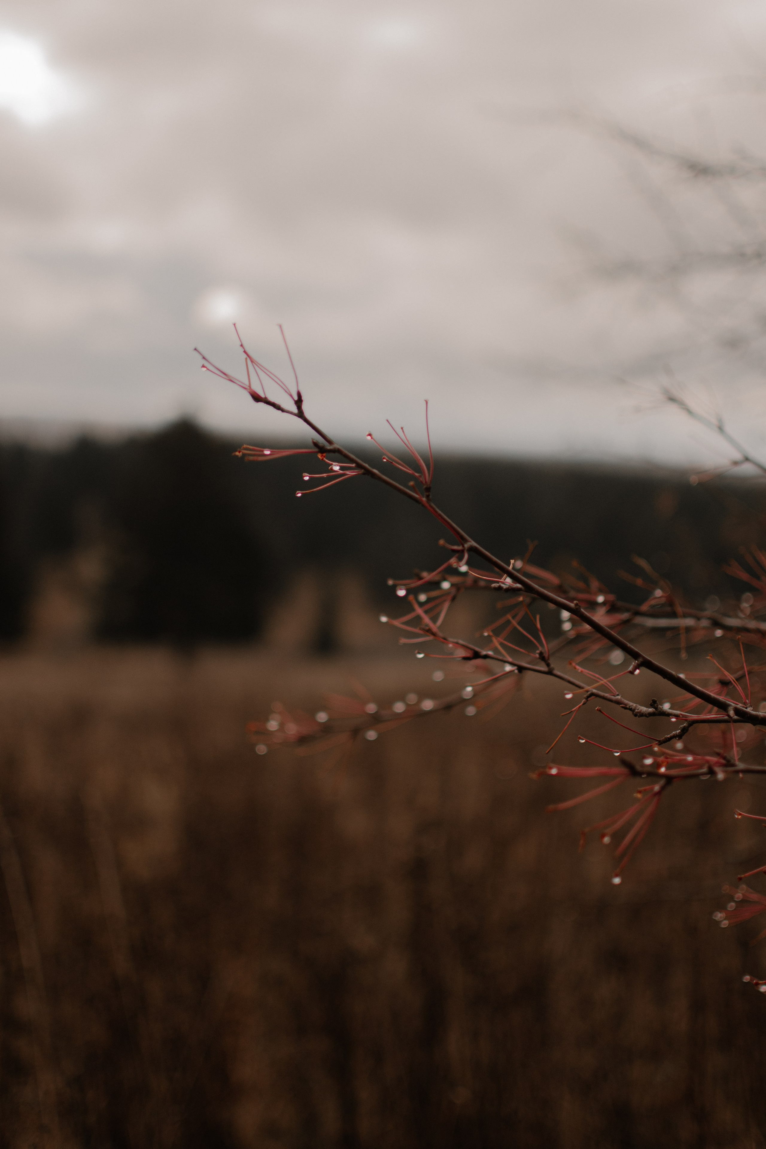 Даша. Фотограф Анфиса Хардина Екатеринбург