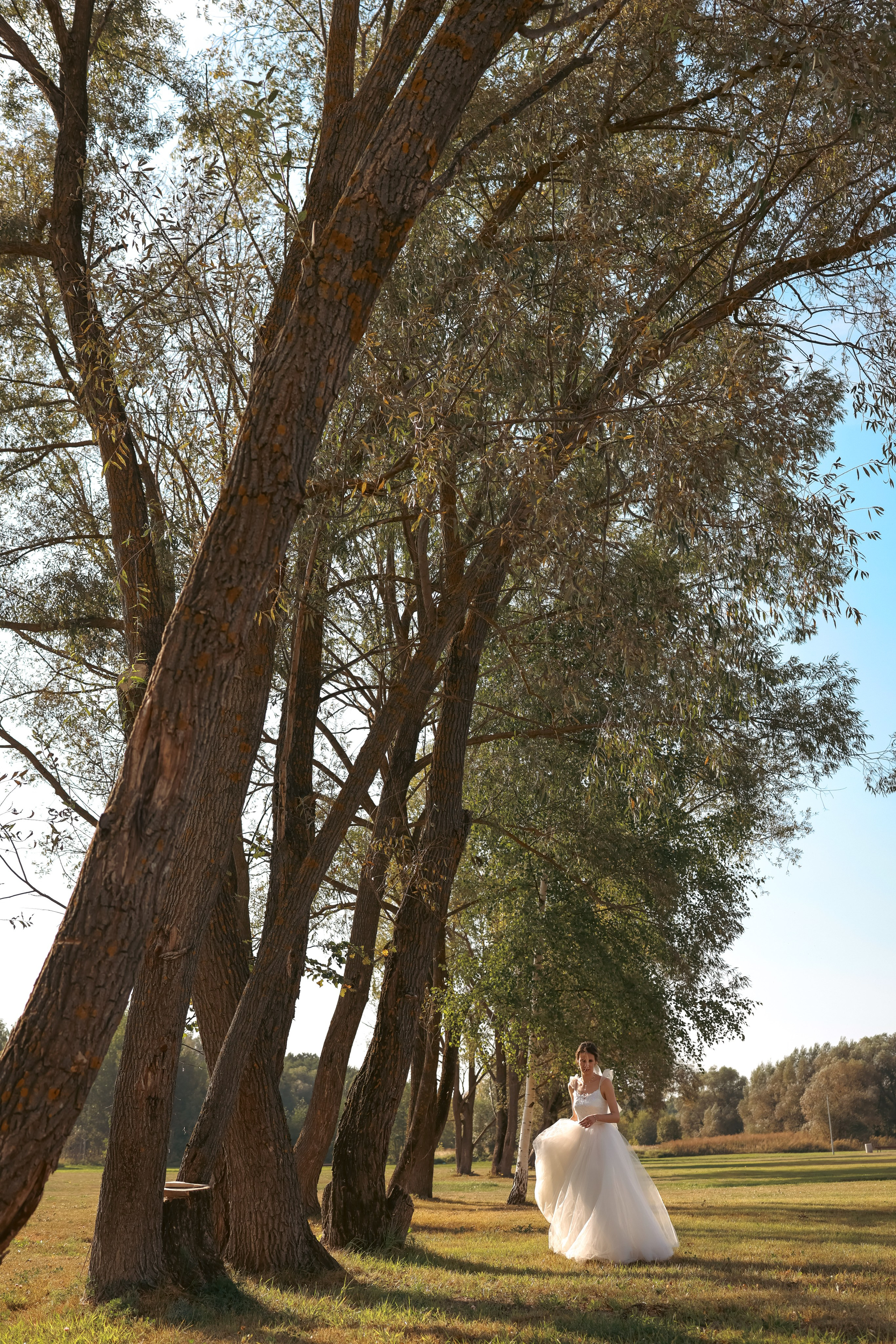 Свадьбы. Фотограф в Раменском Захарова Лидия Семейные, свадебные, детские фотосессии
