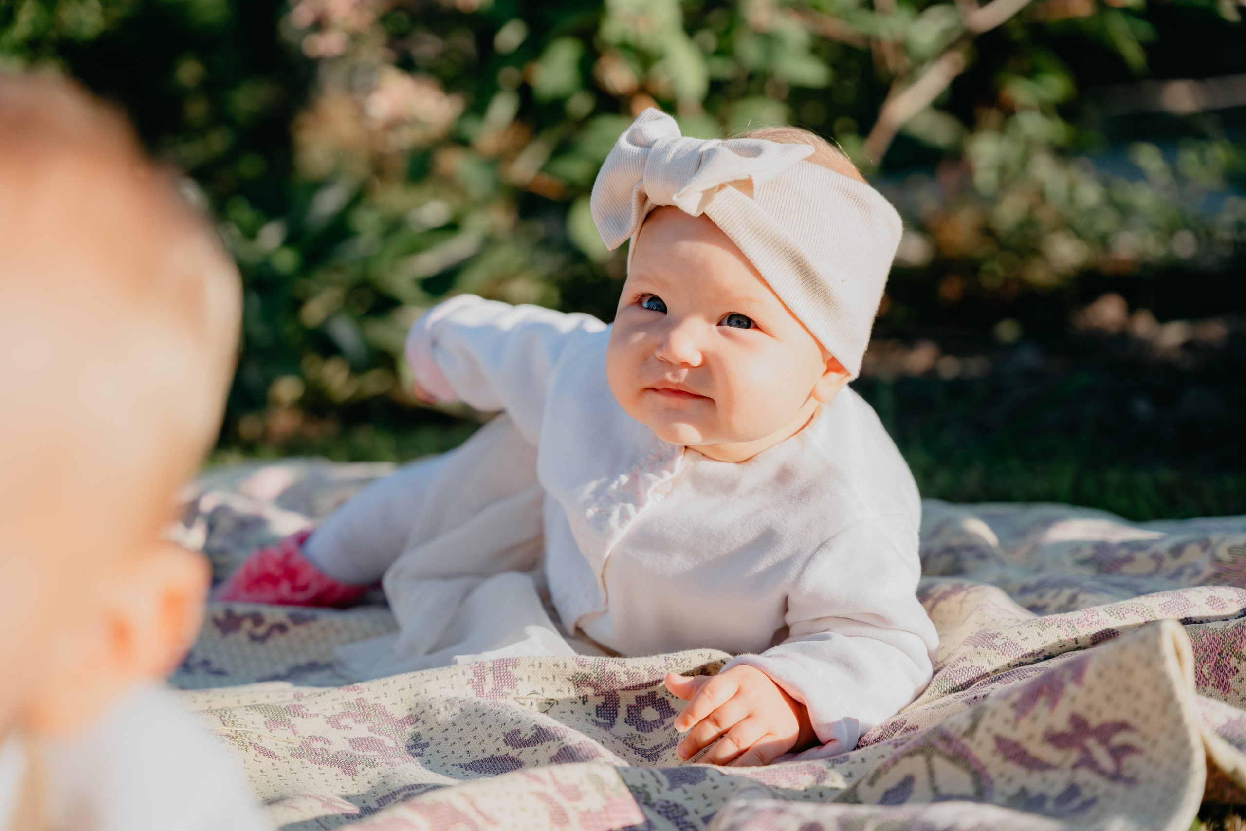 Первая семейная фисташка