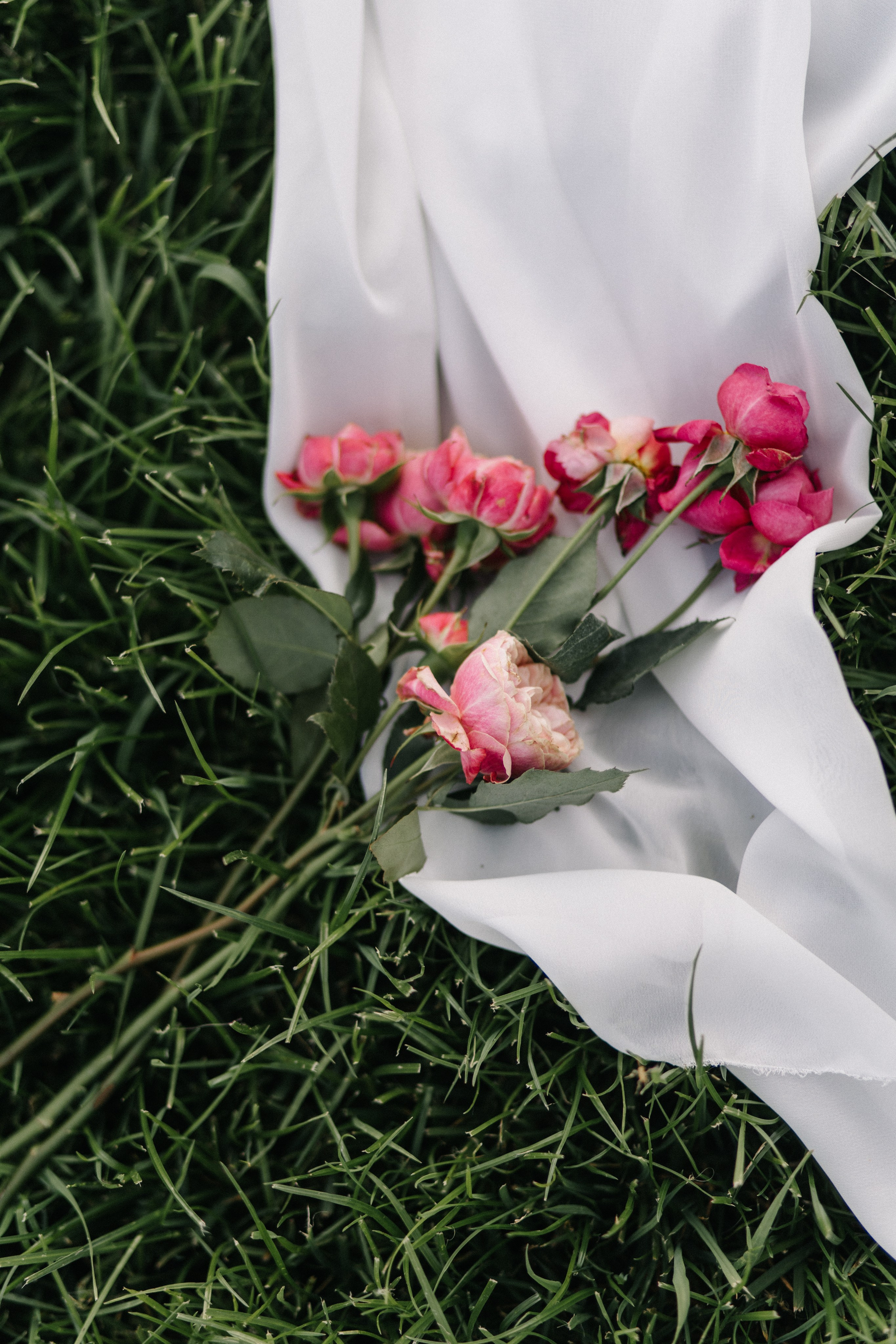 Даниил и Мария. Мордвинова Татьяна