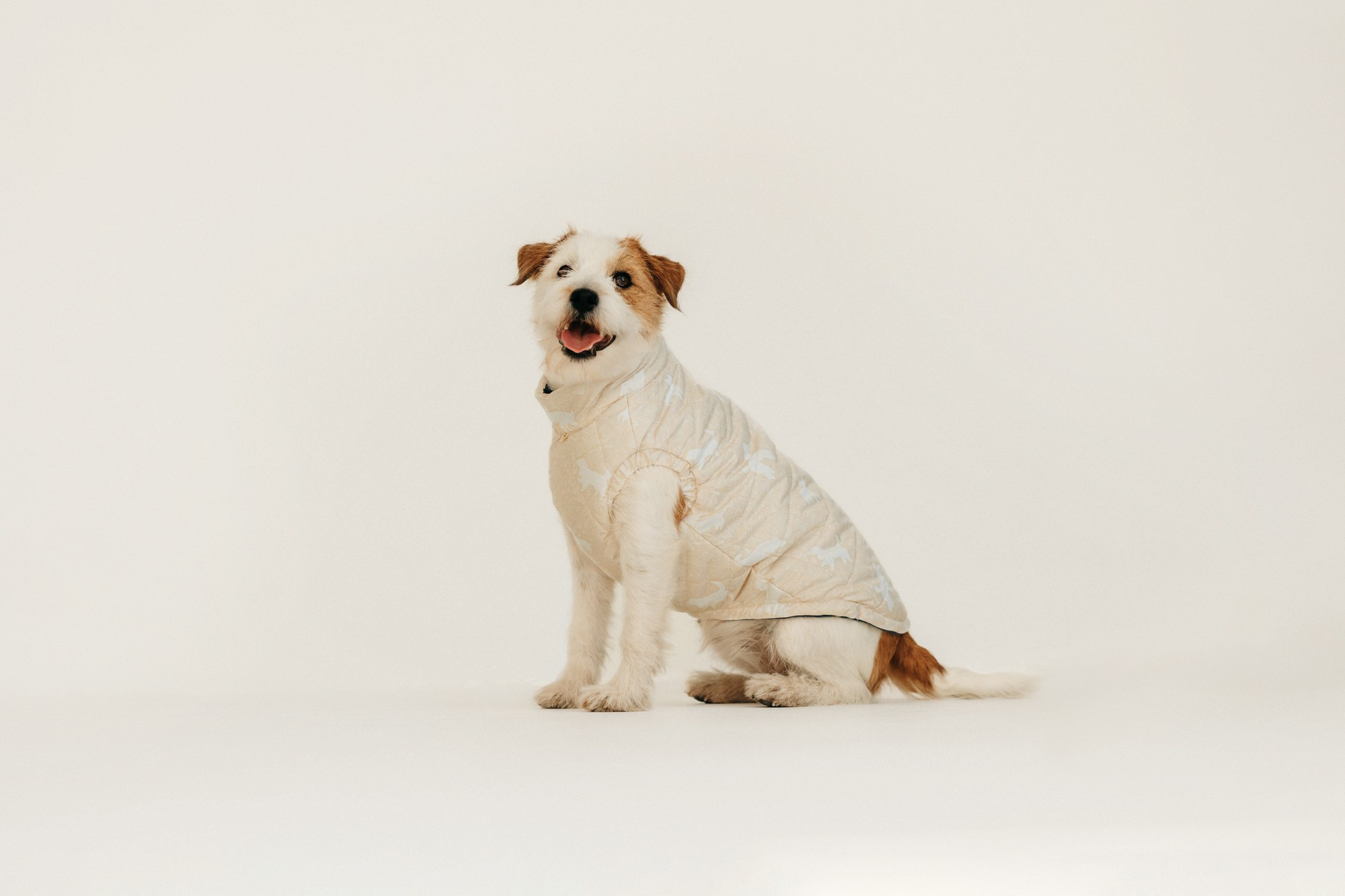 Одежда Lapa`s brand. Фотограф-анималист Елена Радченко, Москва