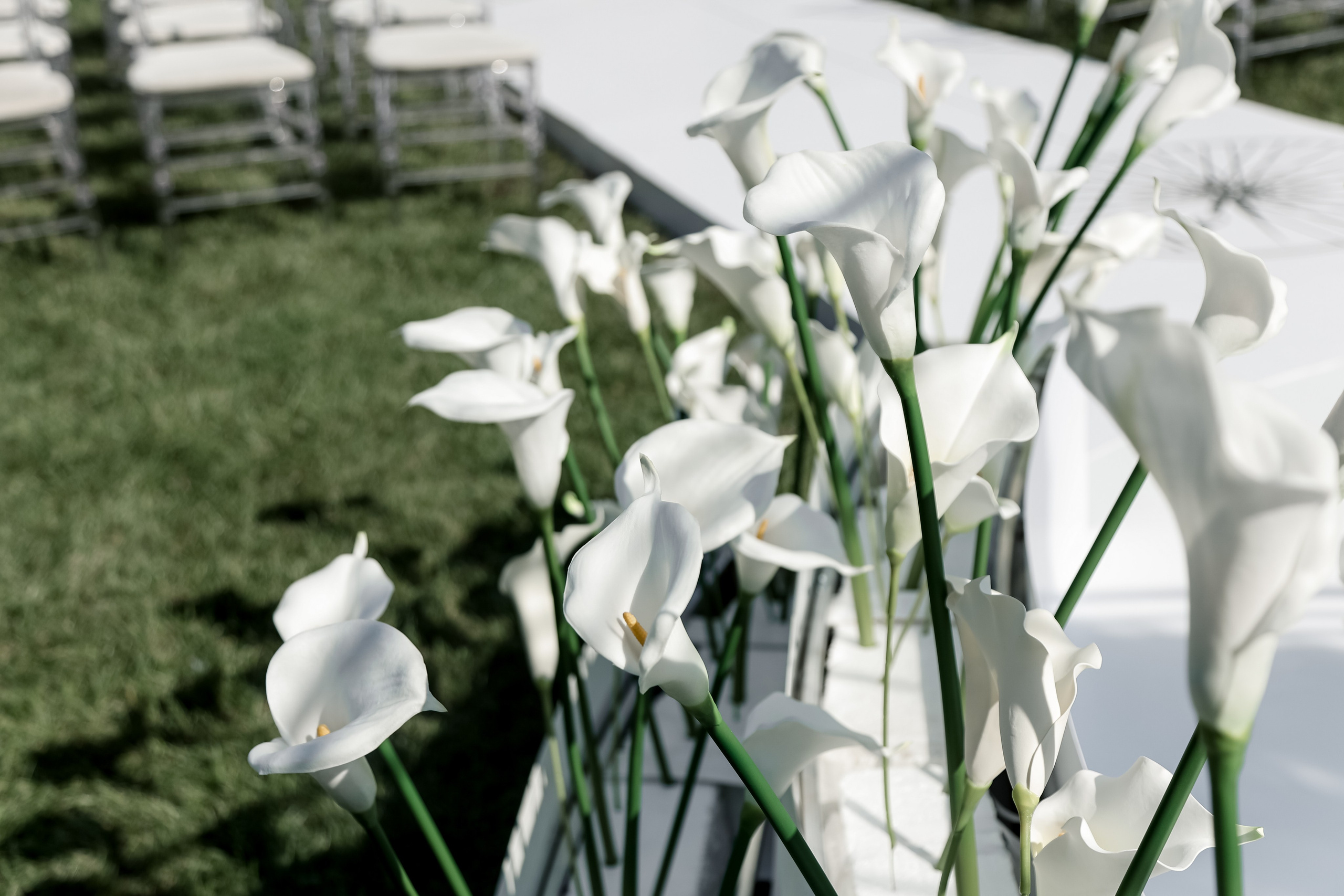 Нити Времени. Свадебный фотограф Ольга Веремчук