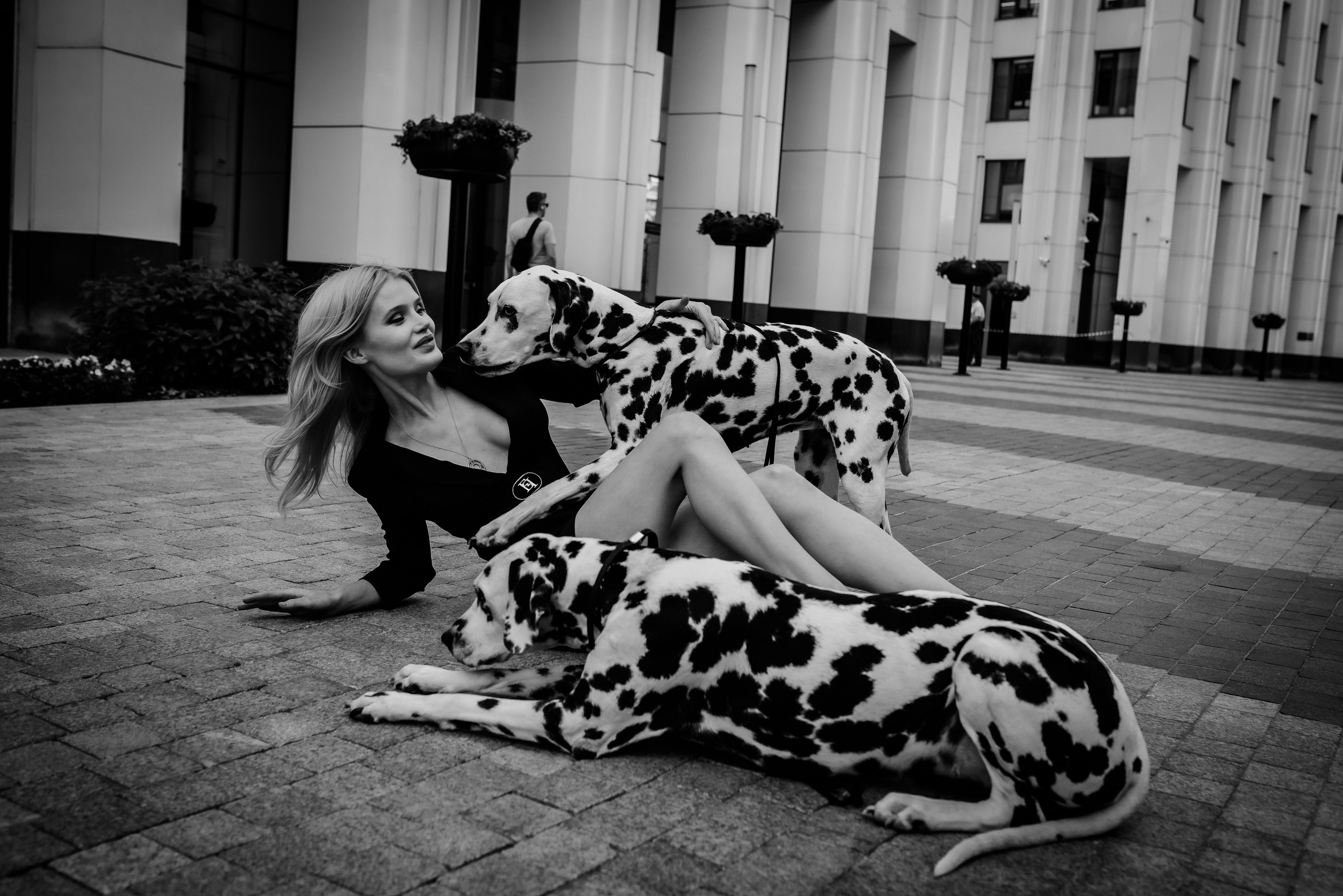 Новая Круэлла Девиль в действии. Свадебный фотограф в Москве