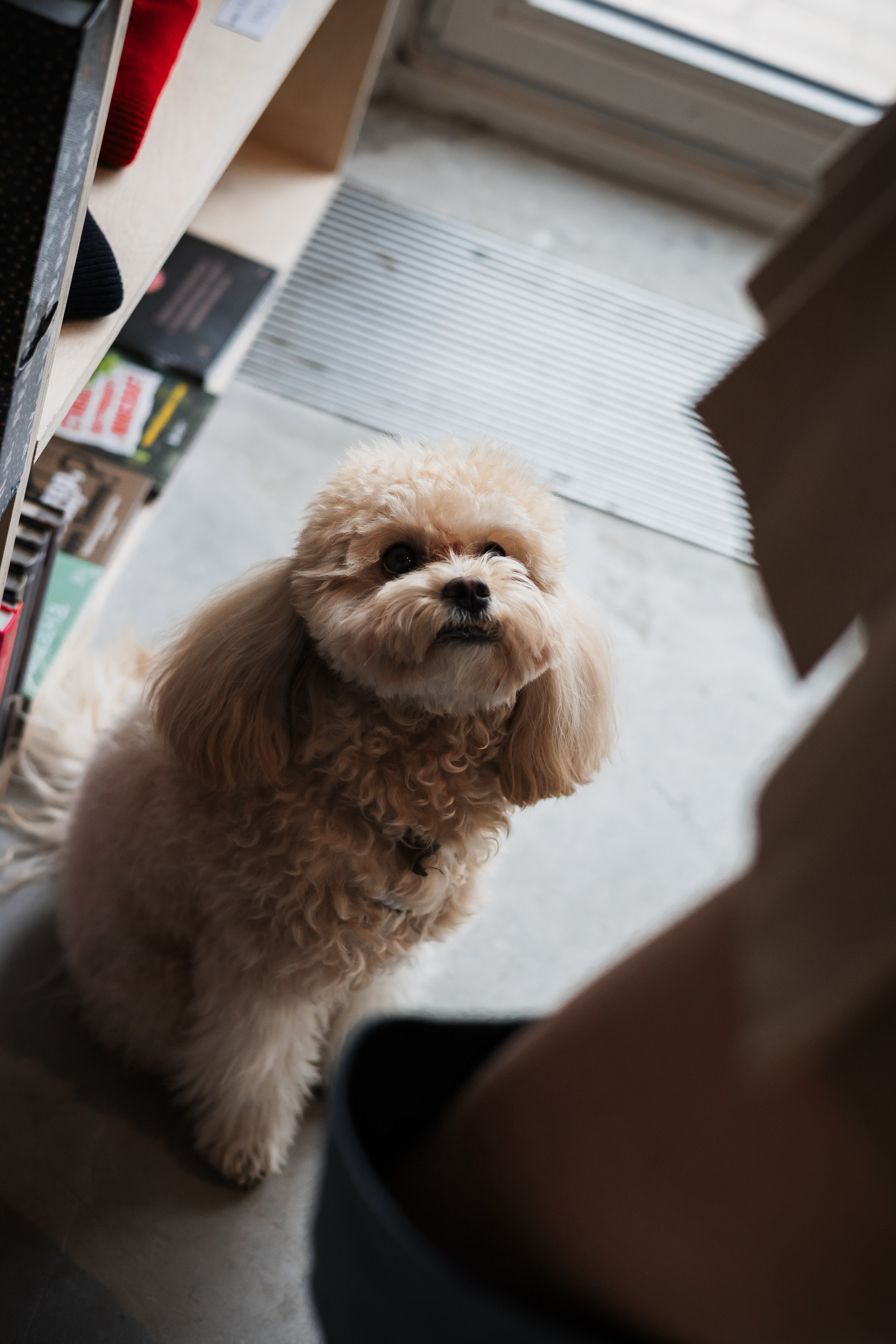 Алина — прогулка