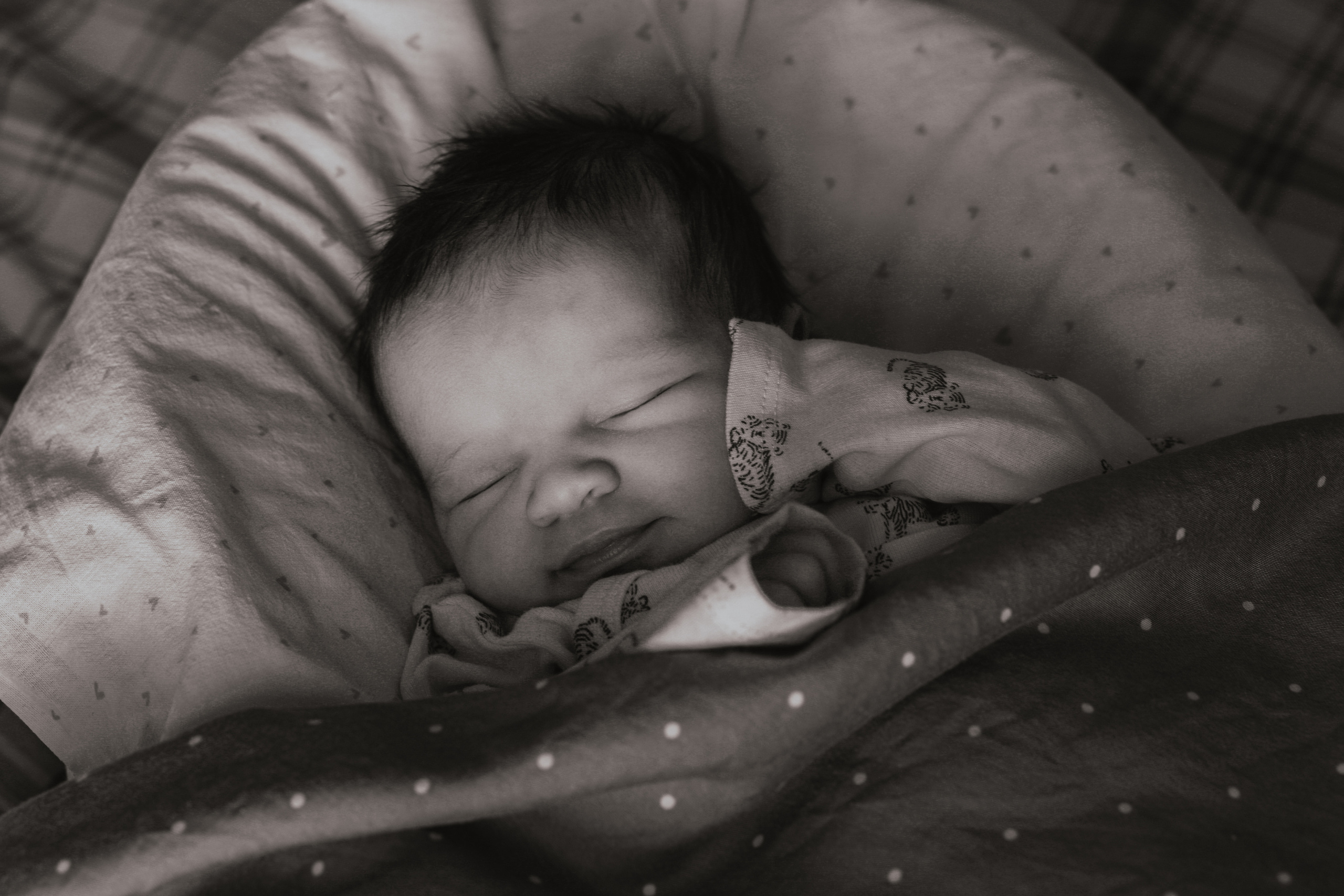 Фотограф София Турбина