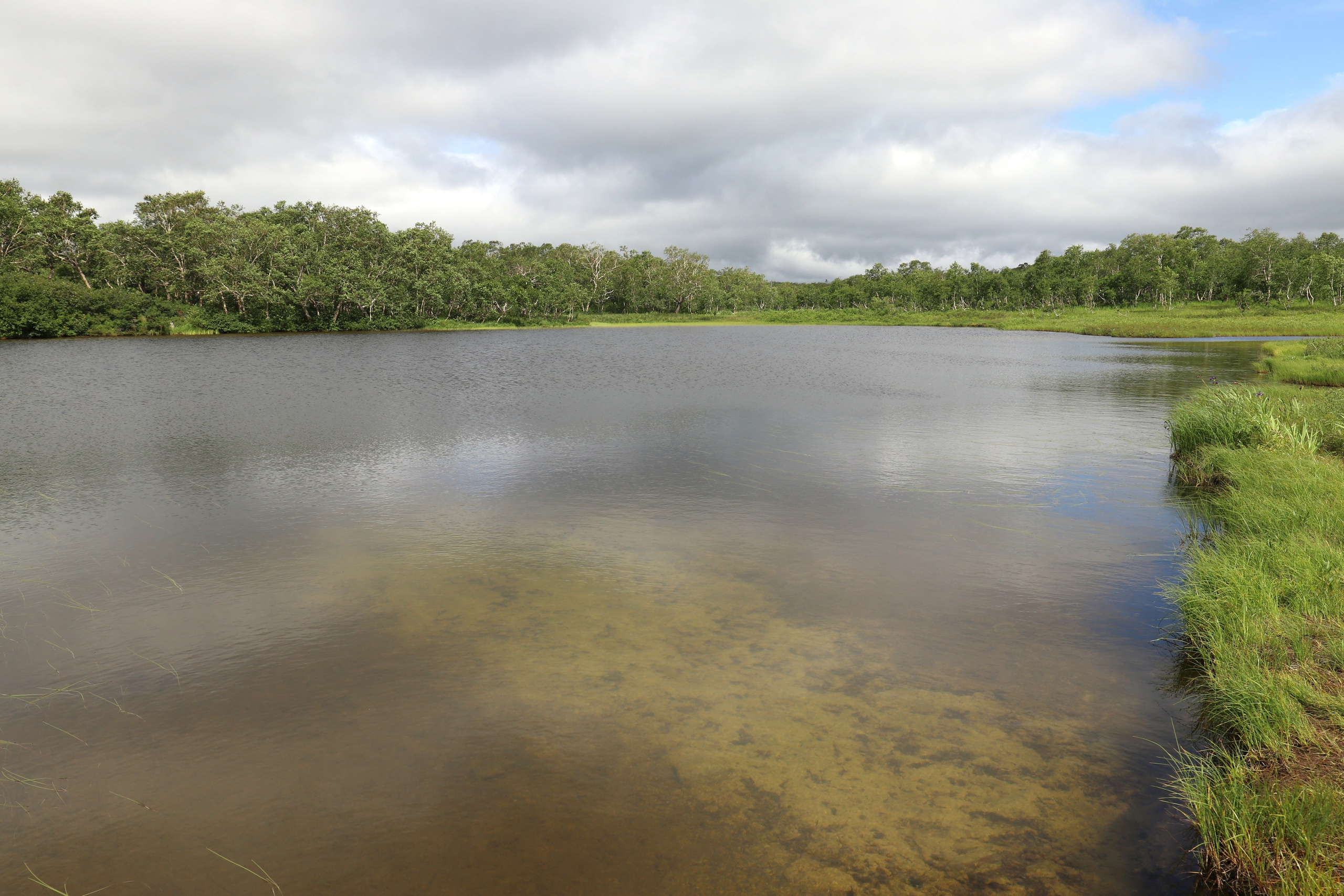 Камчатка и о. Парамушир. Июль 2024. Путешественник-фотограф из Санкт-Петербурга Татьяна Свистулина