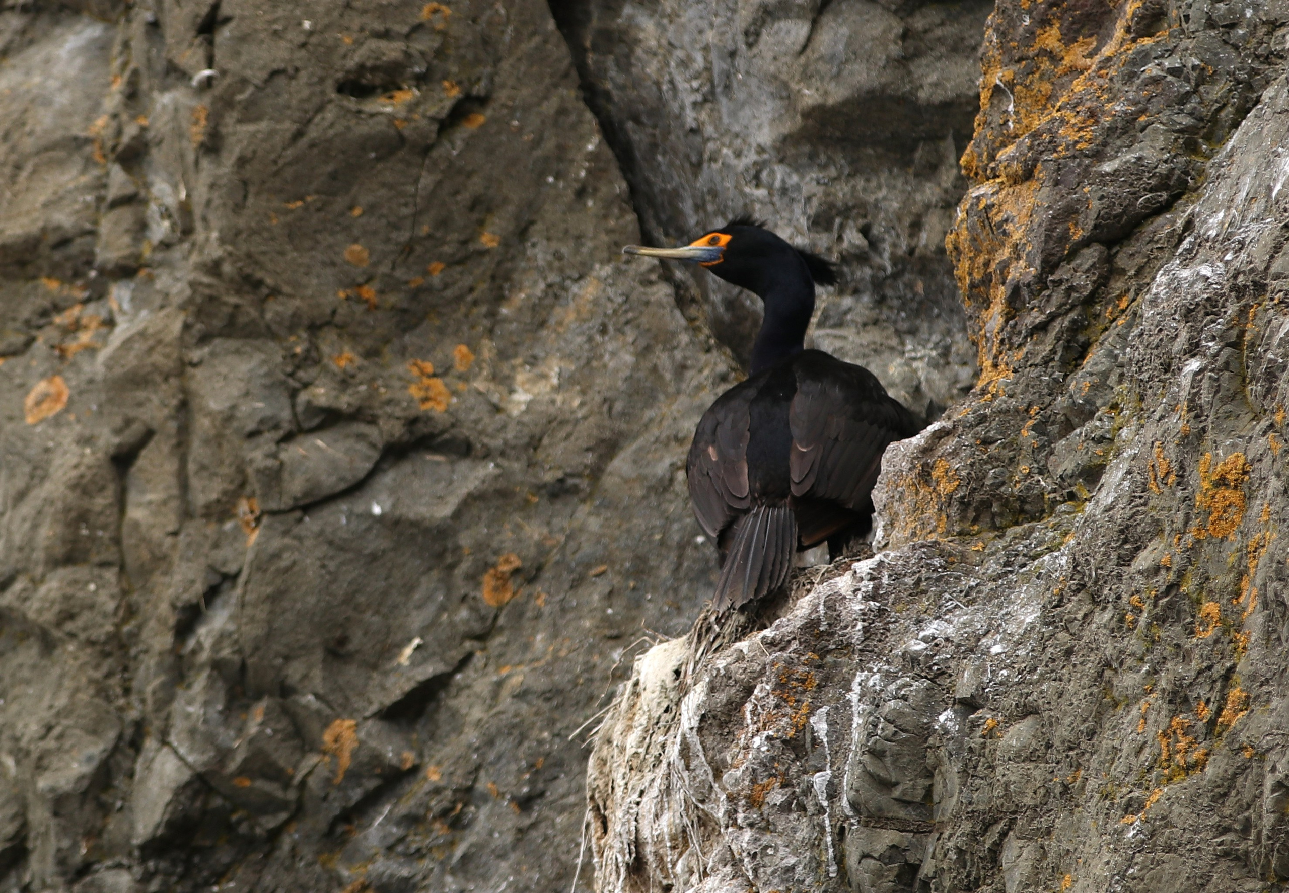 Камчатка и о. Парамушир. Июль 2024. Путешественник-фотограф из Санкт-Петербурга Татьяна Свистулина