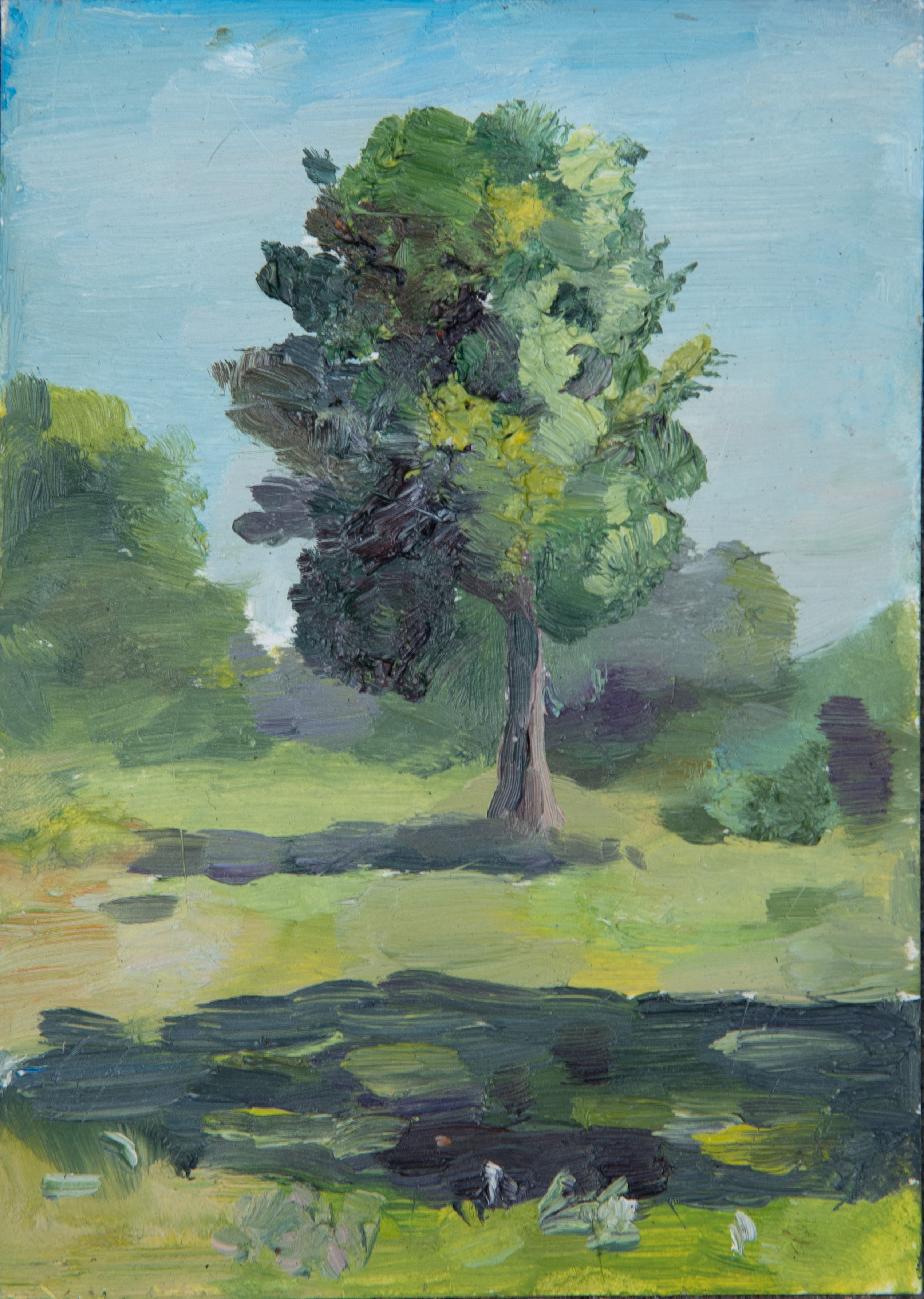 Масло. Фотограф Юлия Зимина