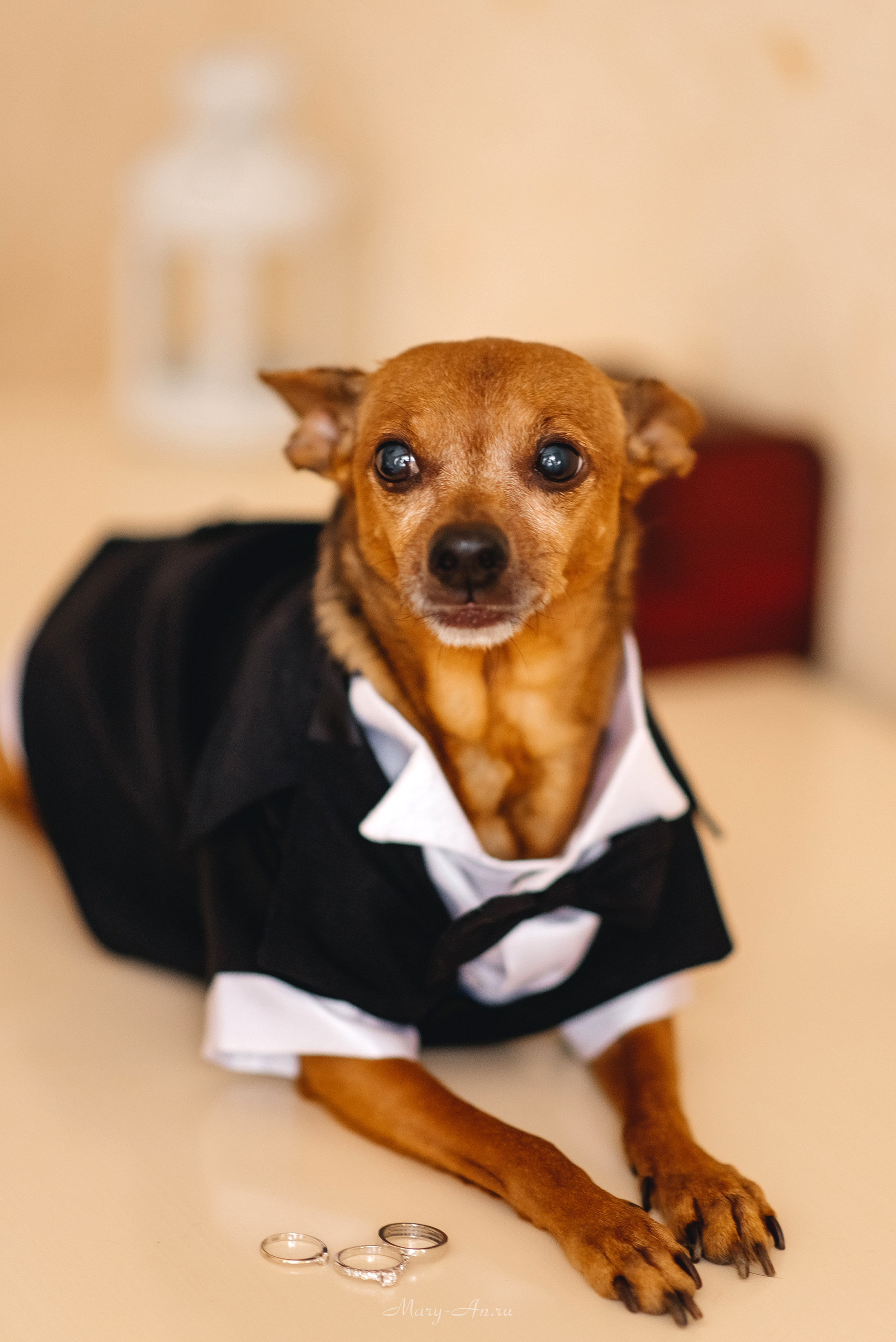 Гриша & Генриетта. Свадебный и семейный фотограф Мария Ан