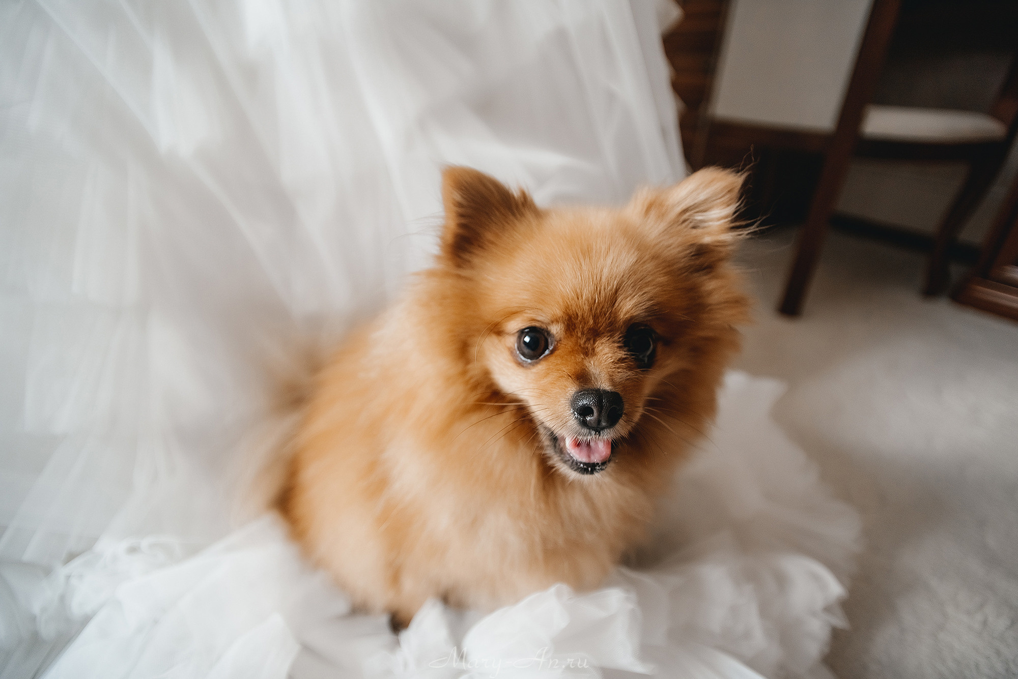 Никита & Вероника. Свадебный и семейный фотограф Мария Ан