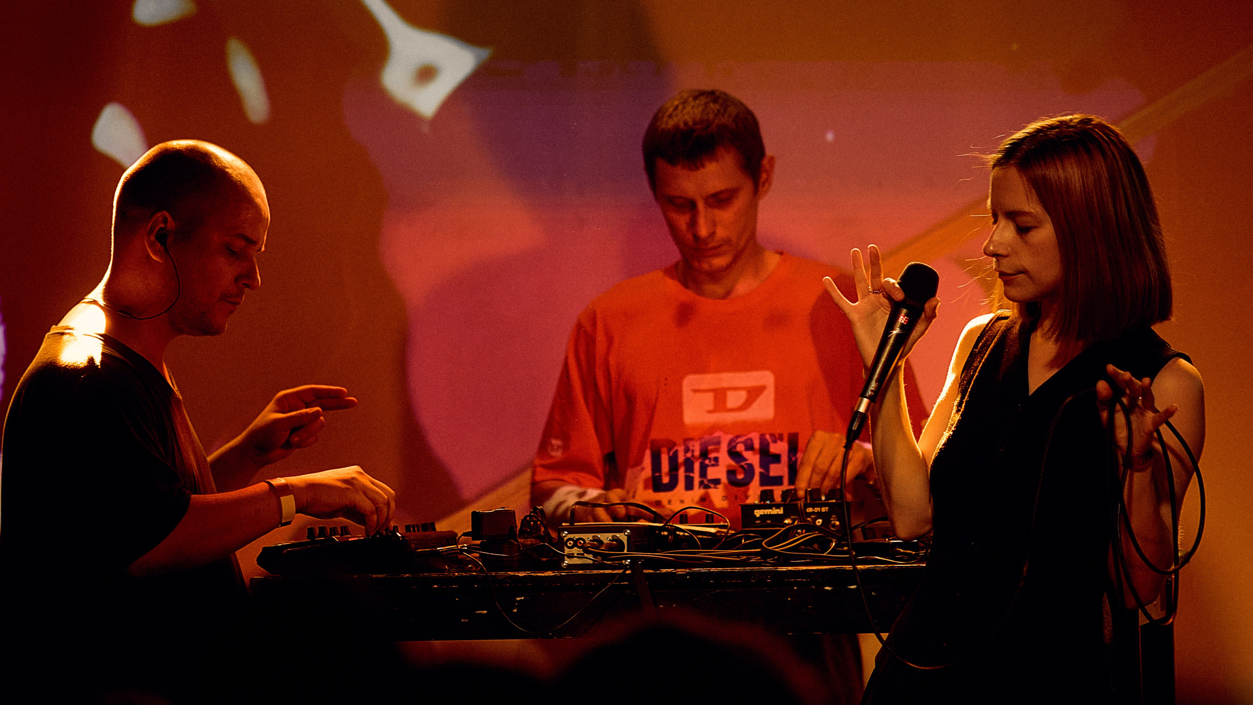 Порез на собаке. Фотограф Юлия Маринина