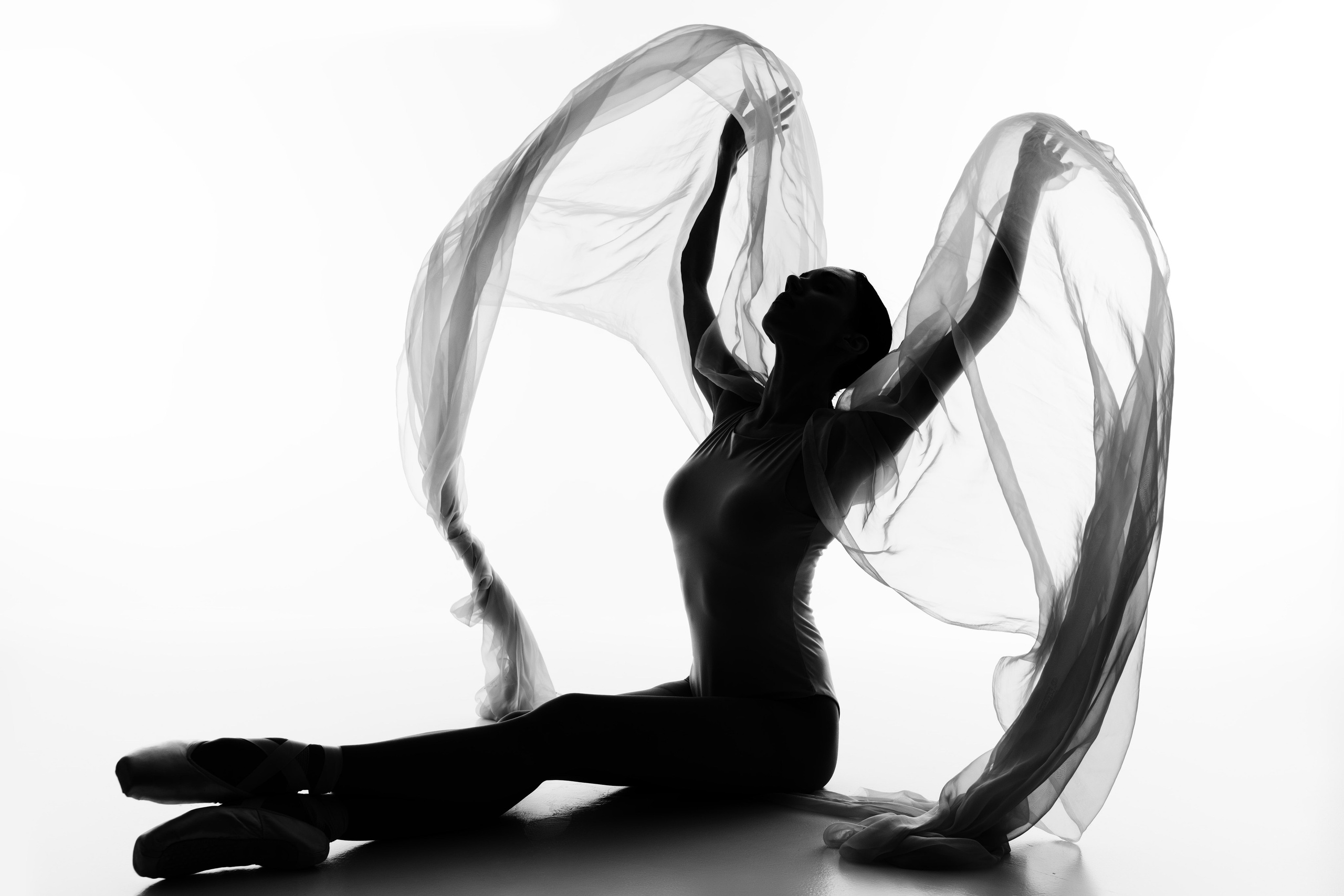 Искусство линии и света