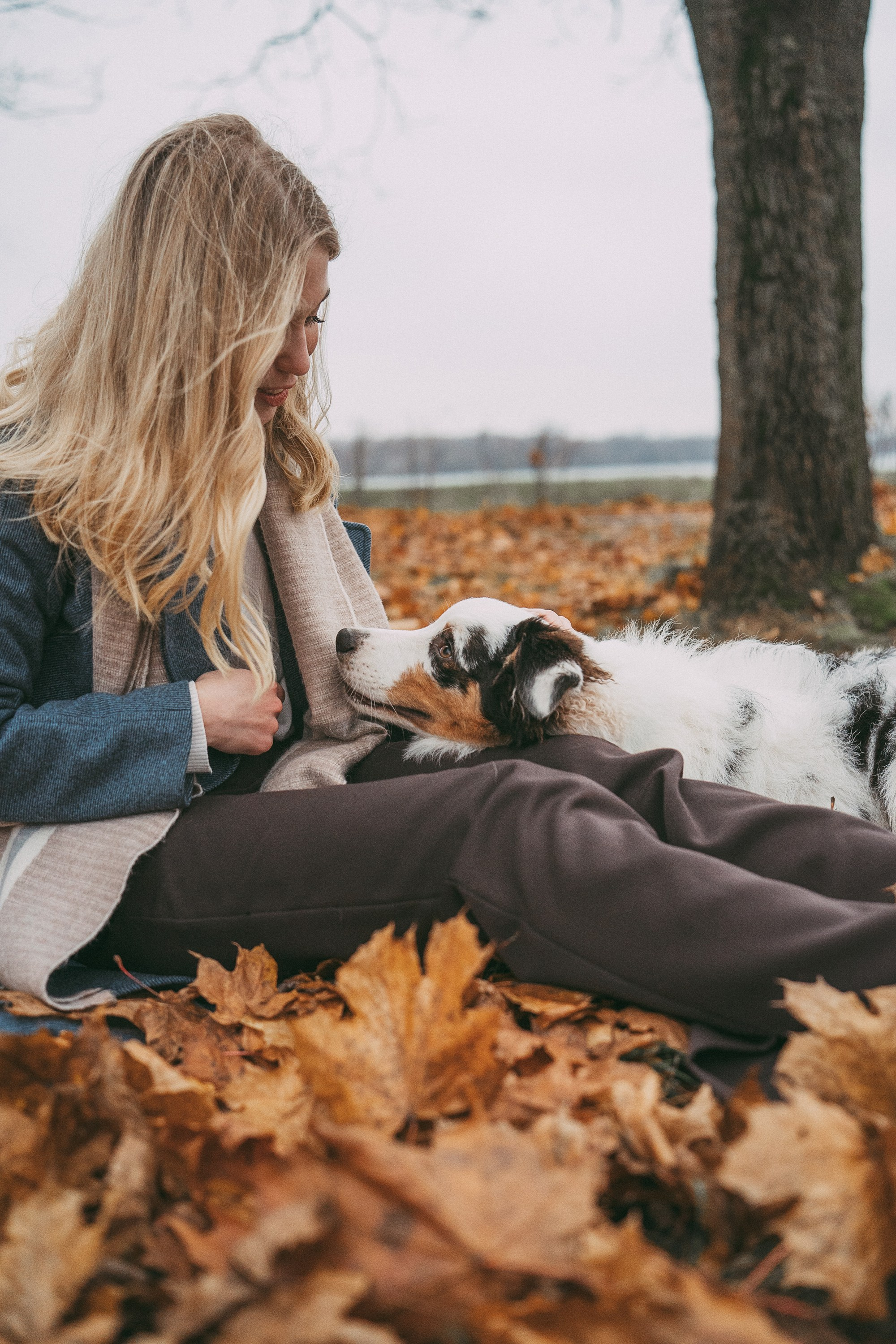 Лиза и Бублик. Фотограф анималист в Москве и Санкт-Петербурге Свиридова Анна