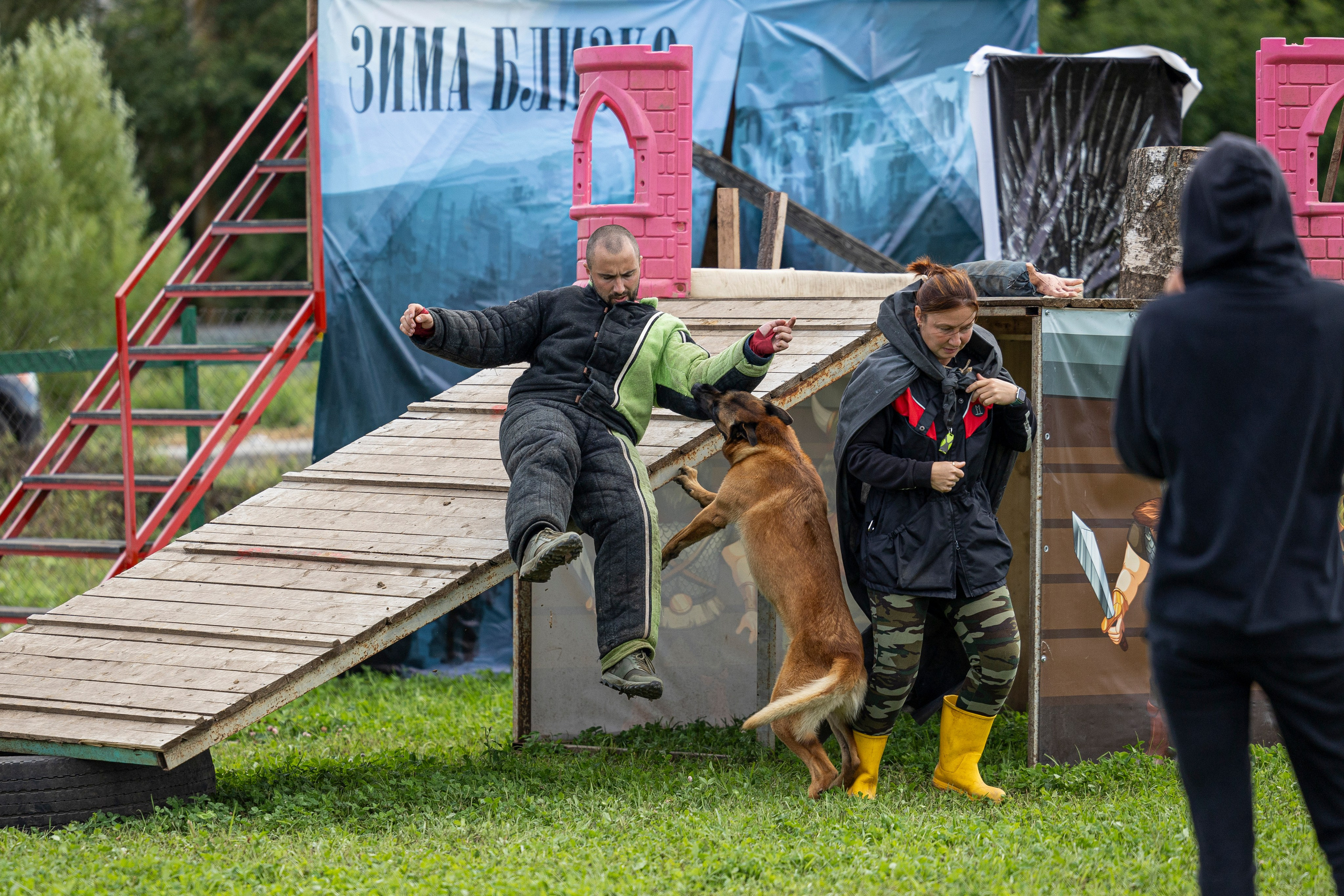 Соревнования по Мондьорингу г. Вологда 10-11.08.2024. Фотограф-анималист Анна Маринич