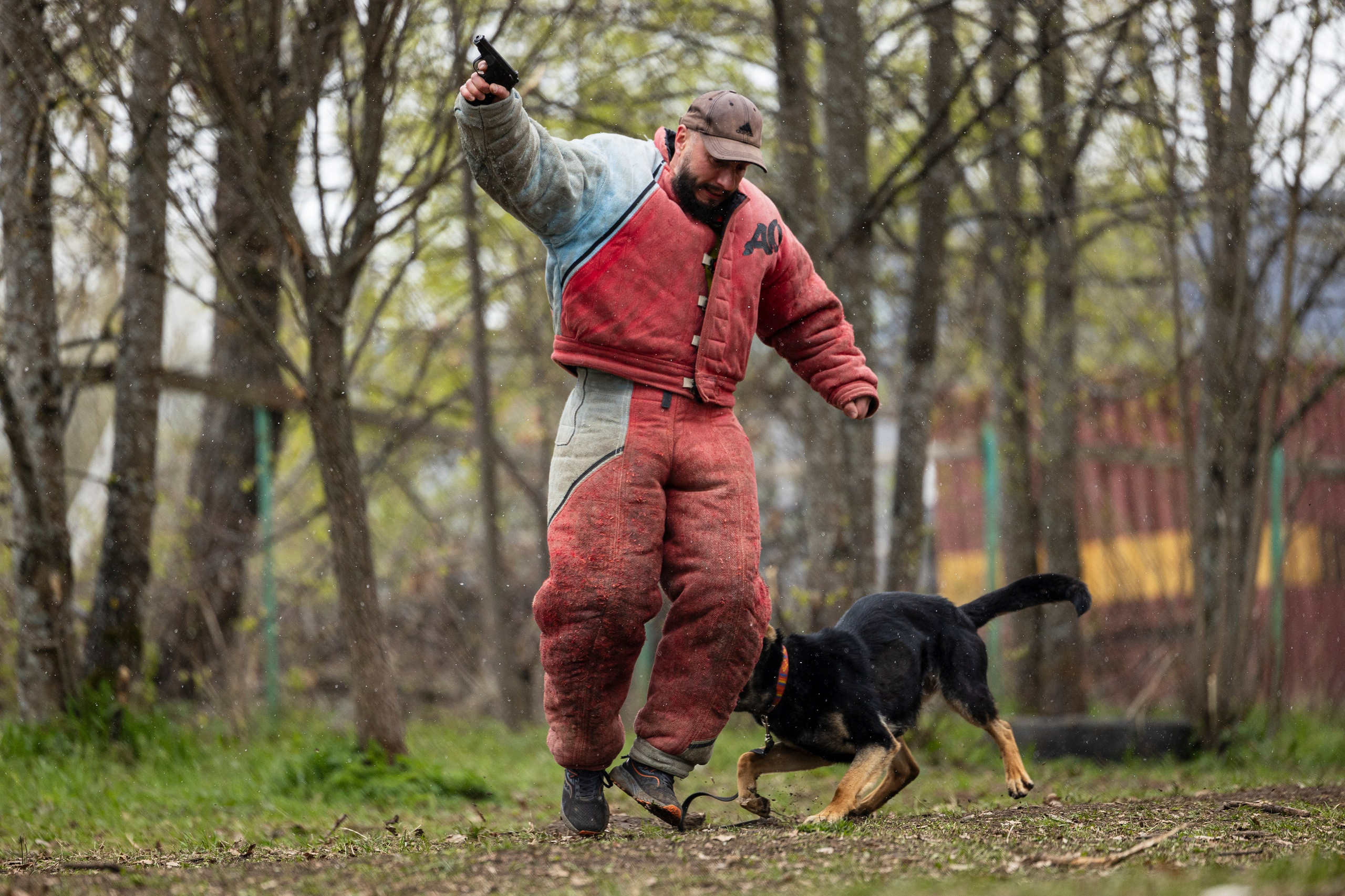 Квалификационные состязания по мондьорингу г. Вологда 11.05.24. Фотограф-анималист Анна Маринич