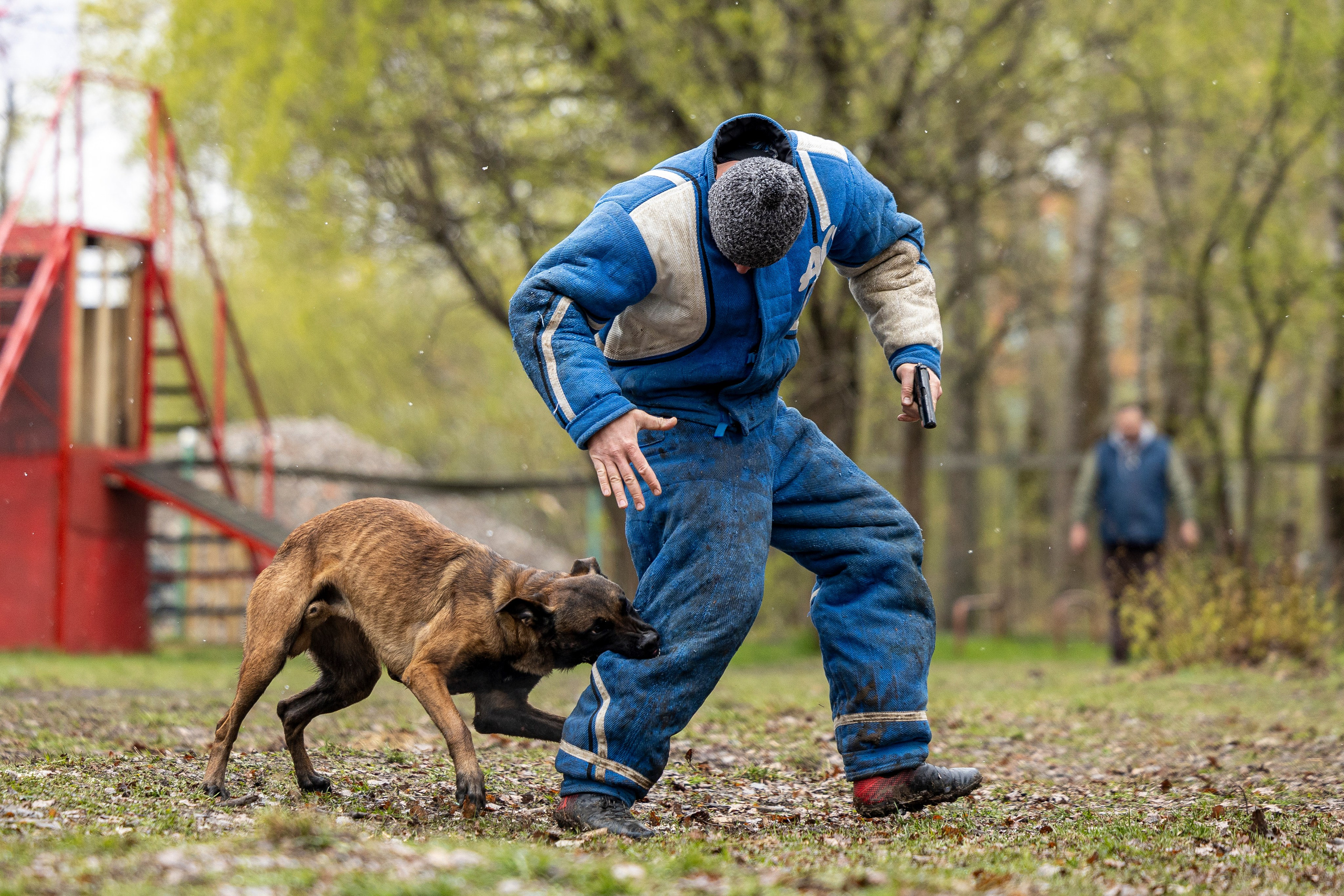 Квалификационные состязания по мондьорингу г. Вологда 11.05.24. Фотограф-анималист Анна Маринич