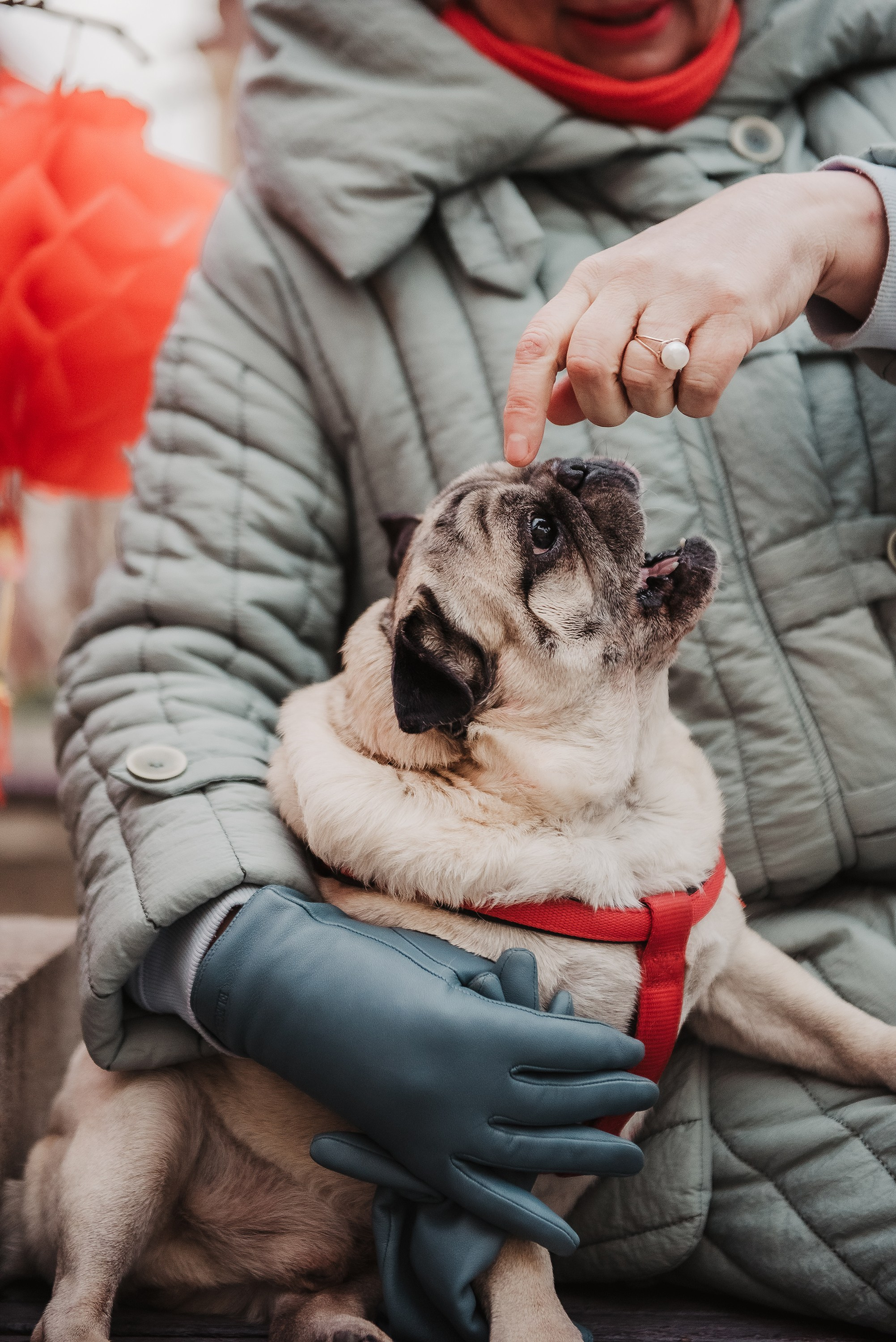 Ольга и Потапум. Прогулка к чайному дому. Семейный Фотограф в Москве Ирина Хохлова